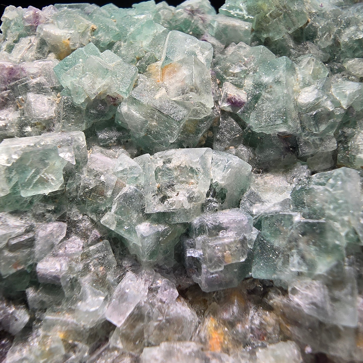 Grands cubes de fluorite zonaux, niveau de quartz vert violet Erongo, Namibie 124*59*27mm