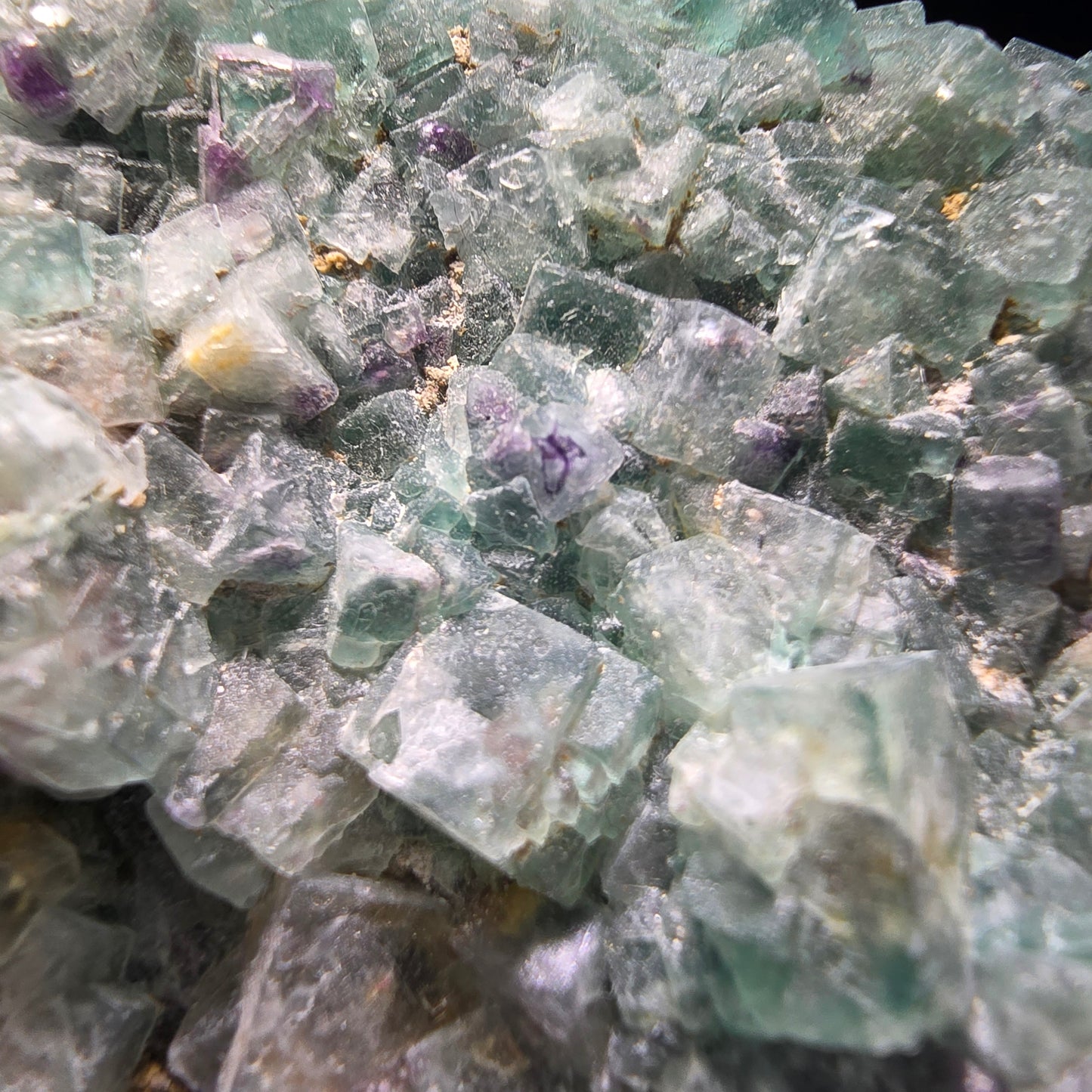 Grands cubes de fluorite zonaux, niveau de quartz vert violet Erongo, Namibie 124*59*27mm