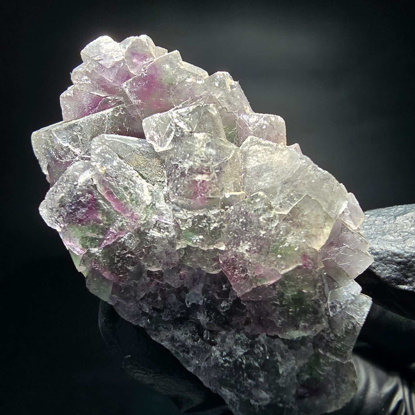 Phantom Fluorite Cube Tier Vert Violet Blanc Okorusu, Namibie 52*33*27mm Collection