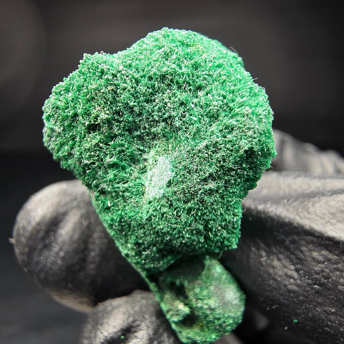 Seltene Malachit mit Quarz Stufe Kaokoveld Namibia 30*22*16mm Mineraliensammlung