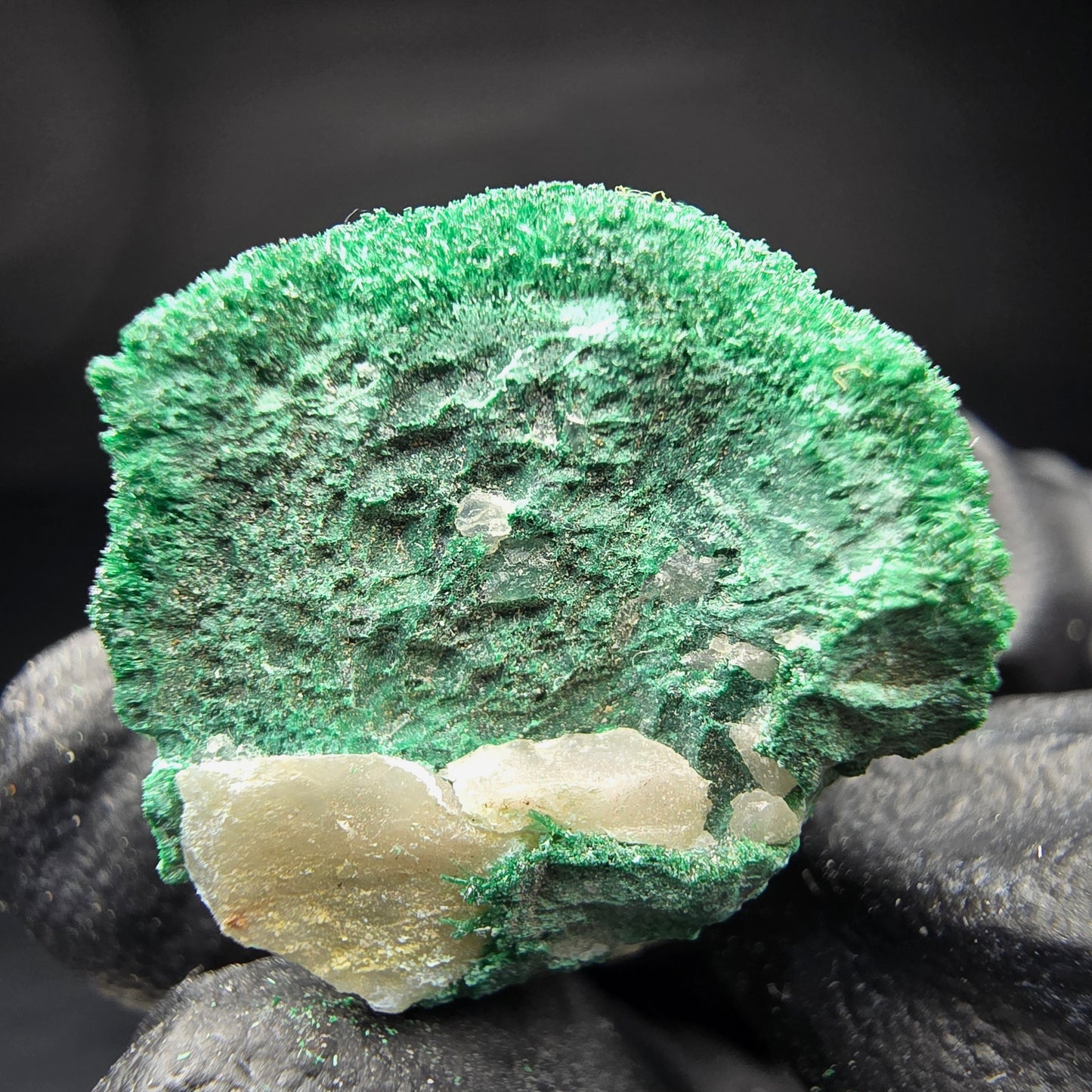 Seltene Malachit mit Quarz Stufe Kaokoveld Namibia 30*22*16mm Mineraliensammlung