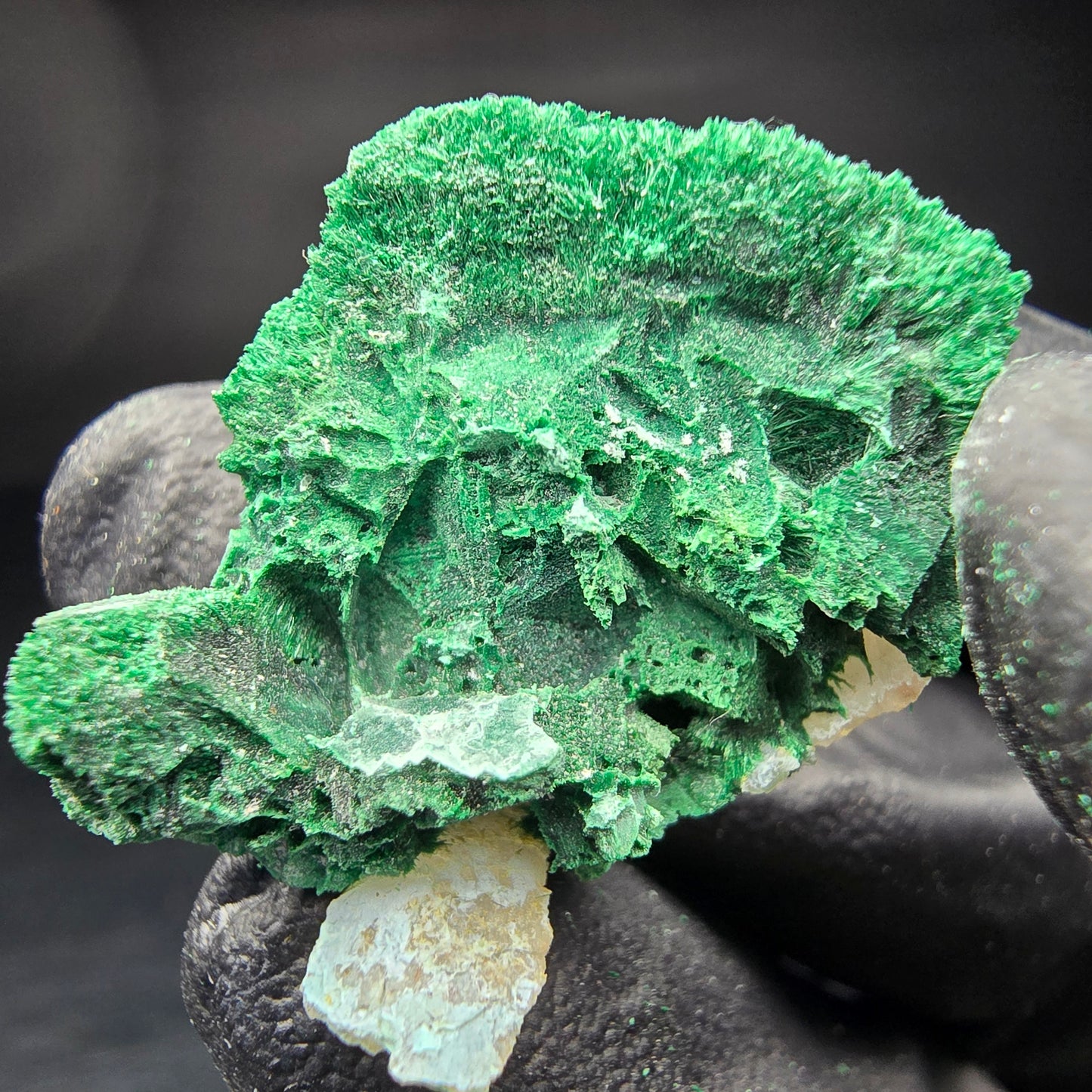 Seltene Malachit mit Quarz Stufe Kaokoveld Namibia 30*22*16mm Mineraliensammlung