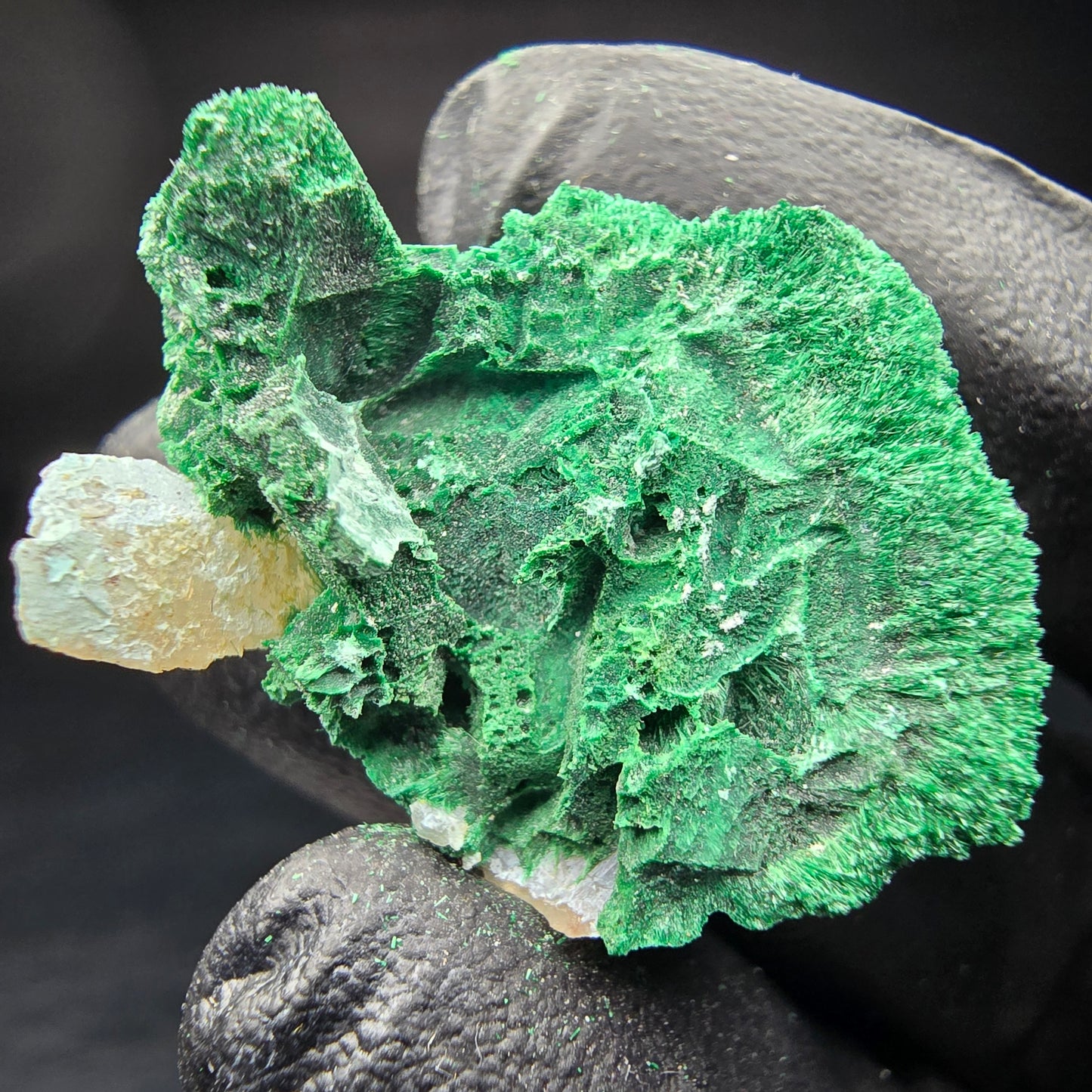 Seltene Malachit mit Quarz Stufe Kaokoveld Namibia 30*22*16mm Mineraliensammlung