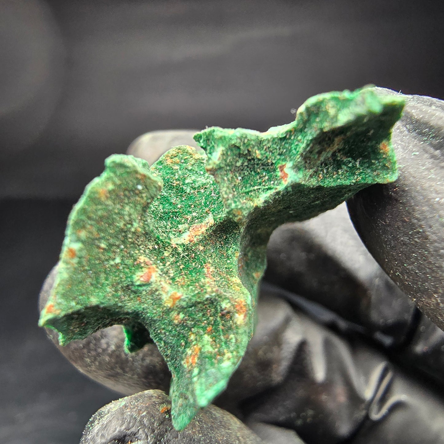 Spécimen rare de malachite, vert Kaokoveld, collection minérale 35*26*19mm namibie