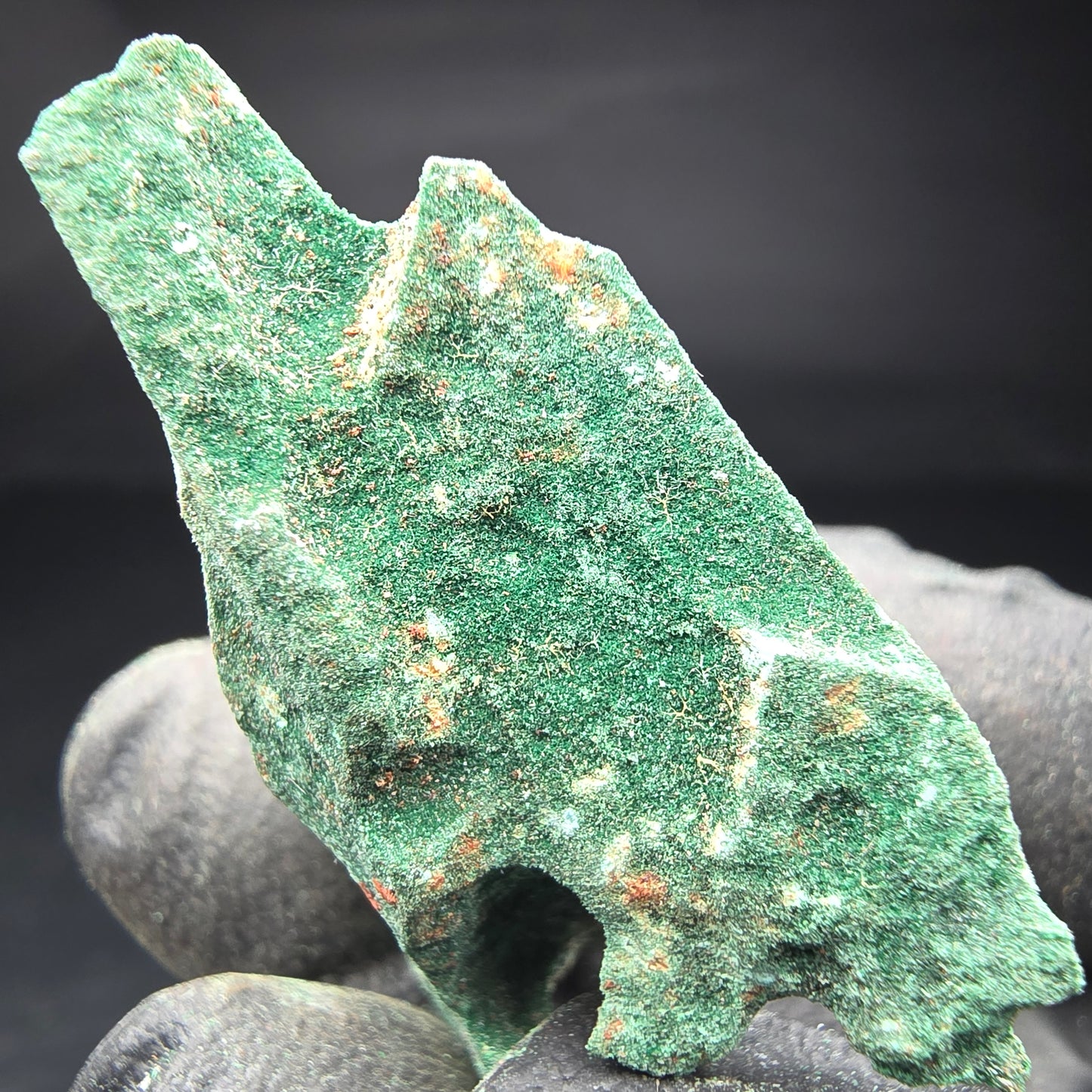 Spécimen rare de malachite, vert Kaokoveld, collection minérale 35*26*19mm namibie