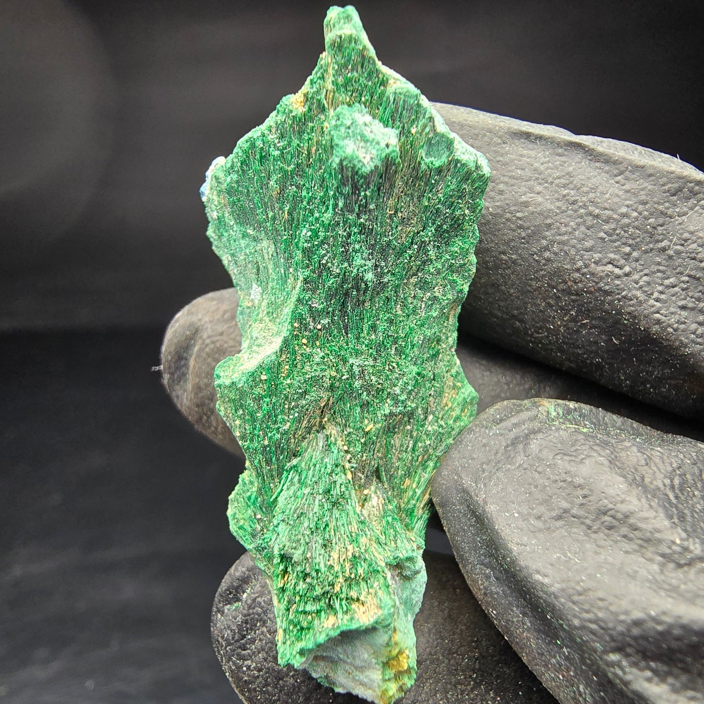 Seltene Malachit Stufe, grün Kaokoveld, Namibia 41*19*18mm Mineraliensammlung