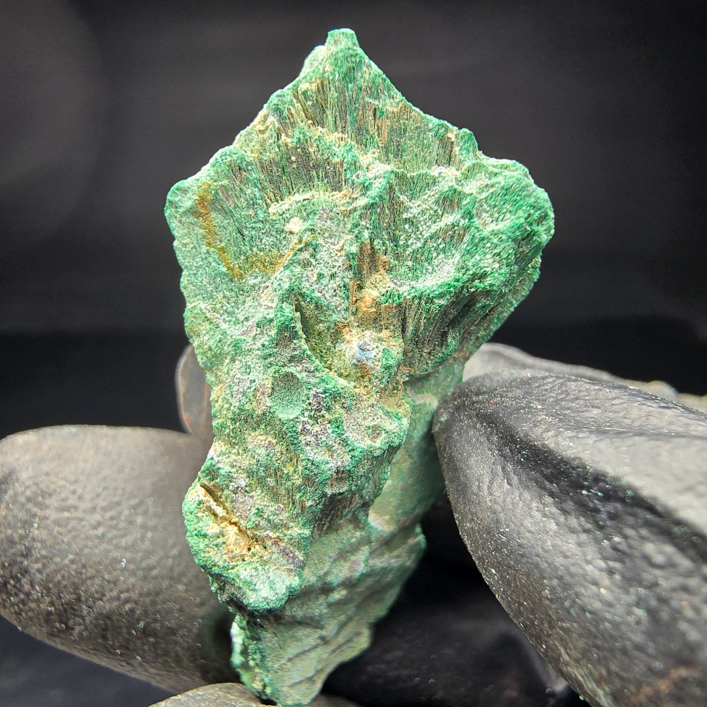 Seltene Malachit Stufe, grün Kaokoveld, Namibia 41*19*18mm Mineraliensammlung