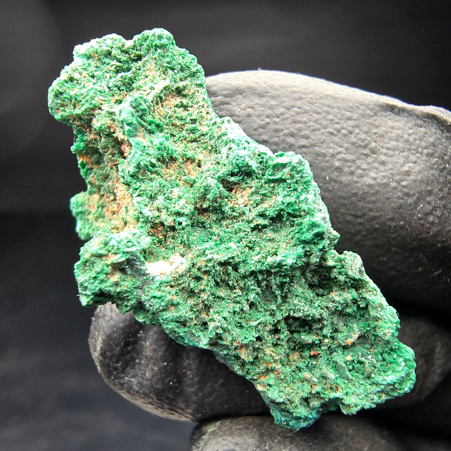 Spécimen rare de malachite, vert Kaokoveld, collection minérale 30*14*17mm namibie