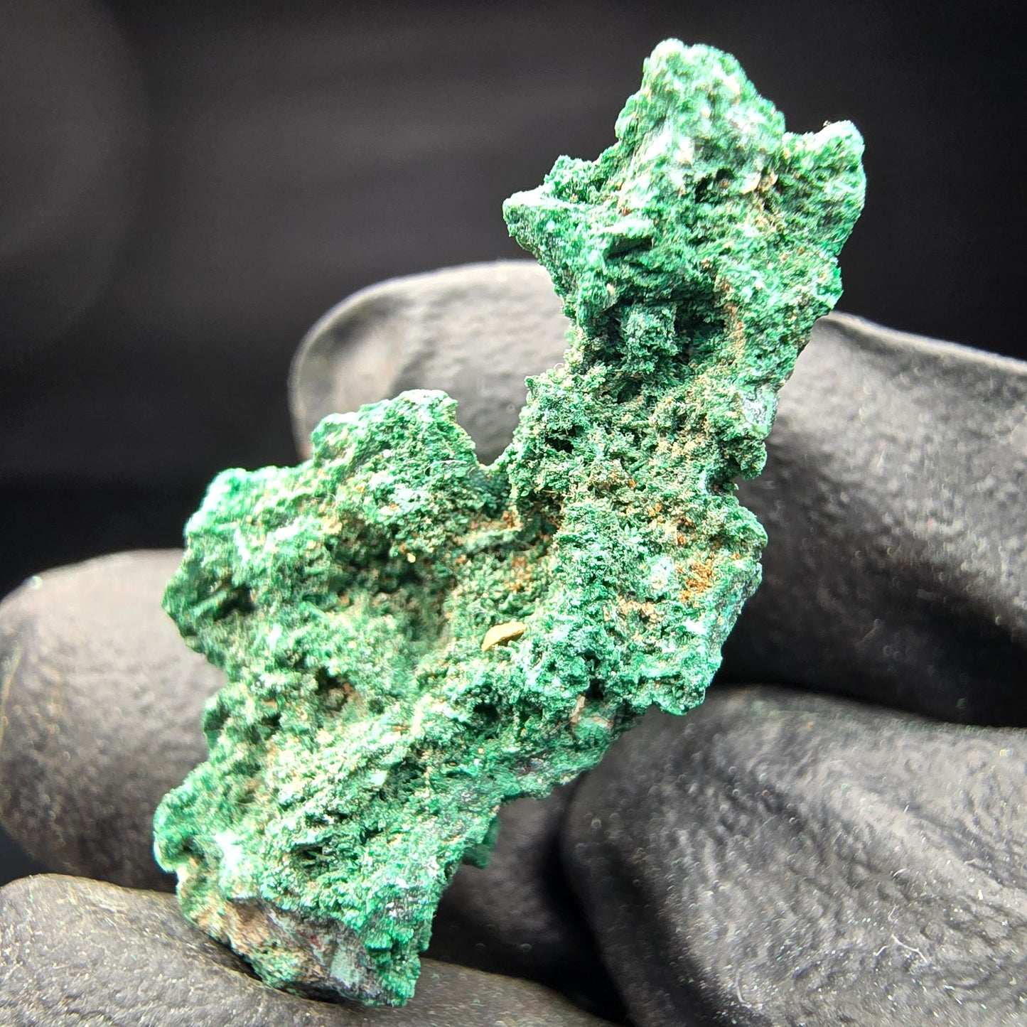 Spécimen rare de malachite, vert Kaokoveld, collection minérale 30*14*17mm namibie
