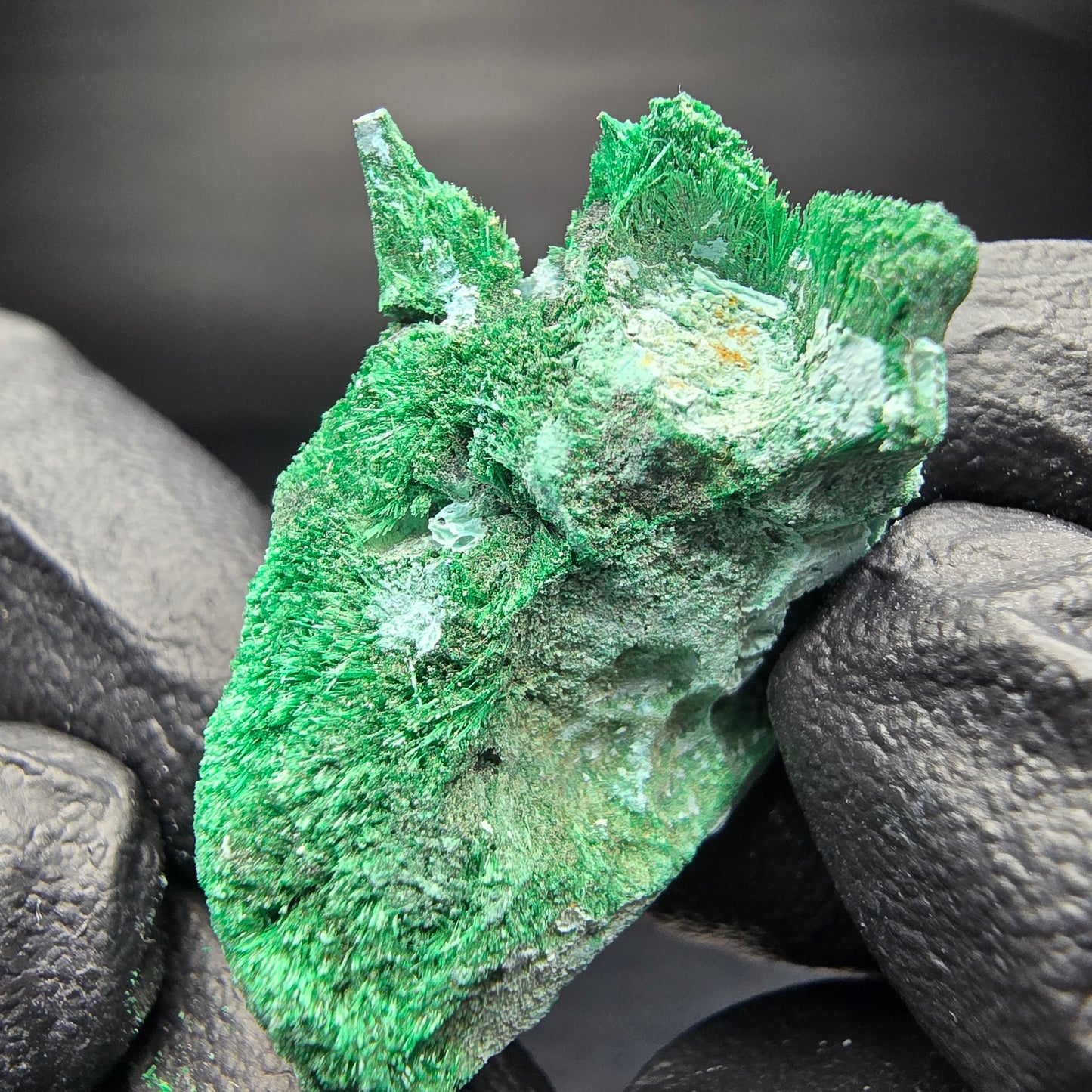 Seltene Malachit, Chrysokoll Stufe Kaokoveld, Namibia 32*24*17mm Sammlung