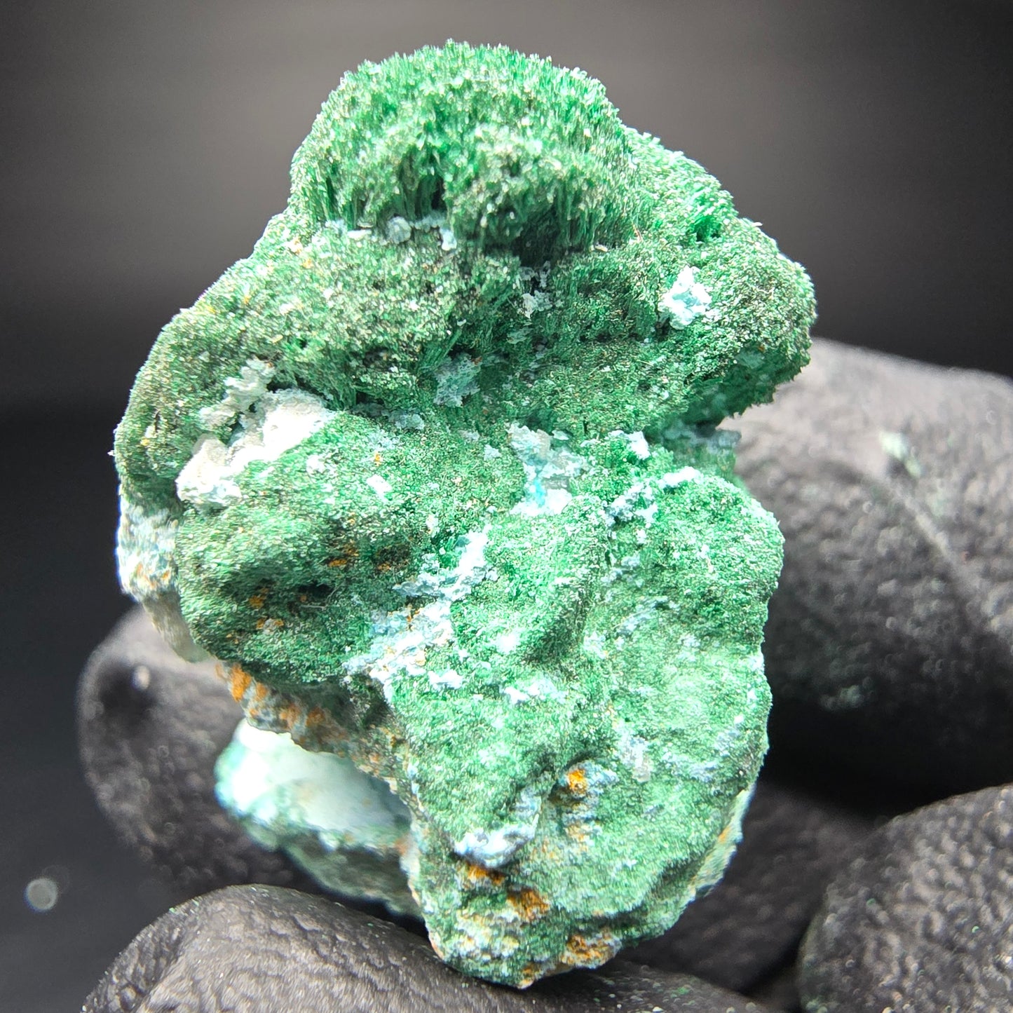 Seltene Malachit, Chrysokoll Stufe Kaokoveld, Namibia 25*20*17mm Sammlung