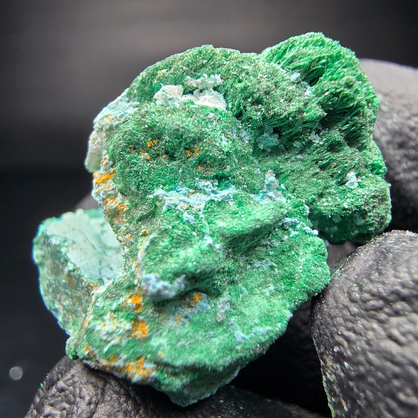 Seltene Malachit, Chrysokoll Stufe Kaokoveld, Namibia 25*20*17mm Sammlung