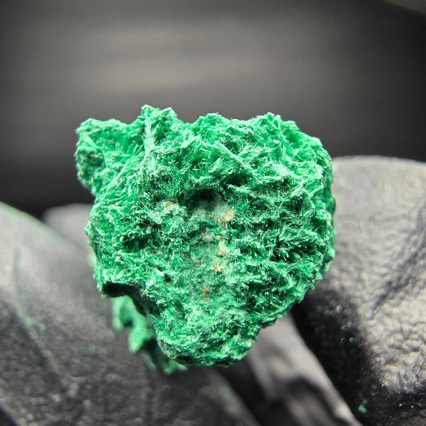 Seltene Malachit Stufe, grün Kaokoveld, Namibia 47*22*23mm Mineraliensammlung