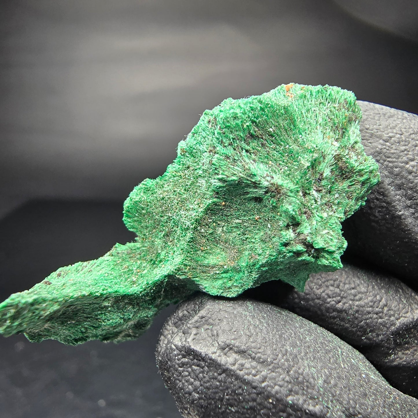 Seltene Malachit Stufe, grün Kaokoveld, Namibia 35*19*16mm Mineraliensammlung