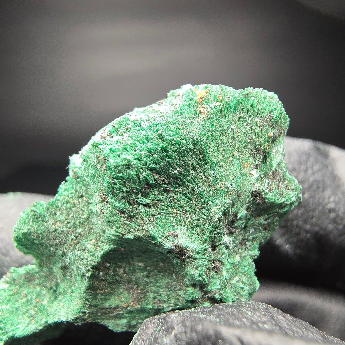 Seltene Malachit Stufe, grün Kaokoveld, Namibia 35*19*16mm Mineraliensammlung