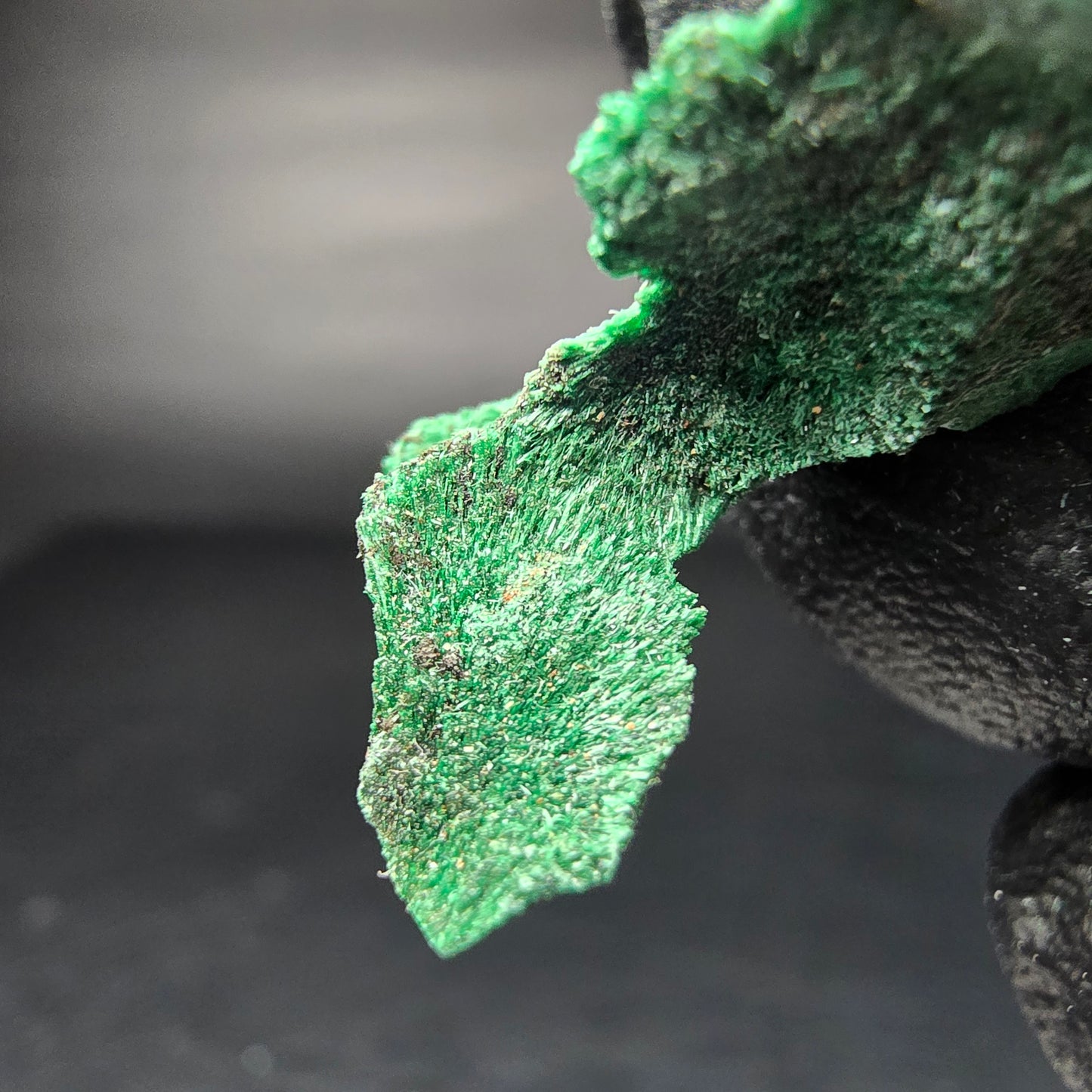 Seltene Malachit Stufe, grün Kaokoveld, Namibia 35*19*16mm Mineraliensammlung
