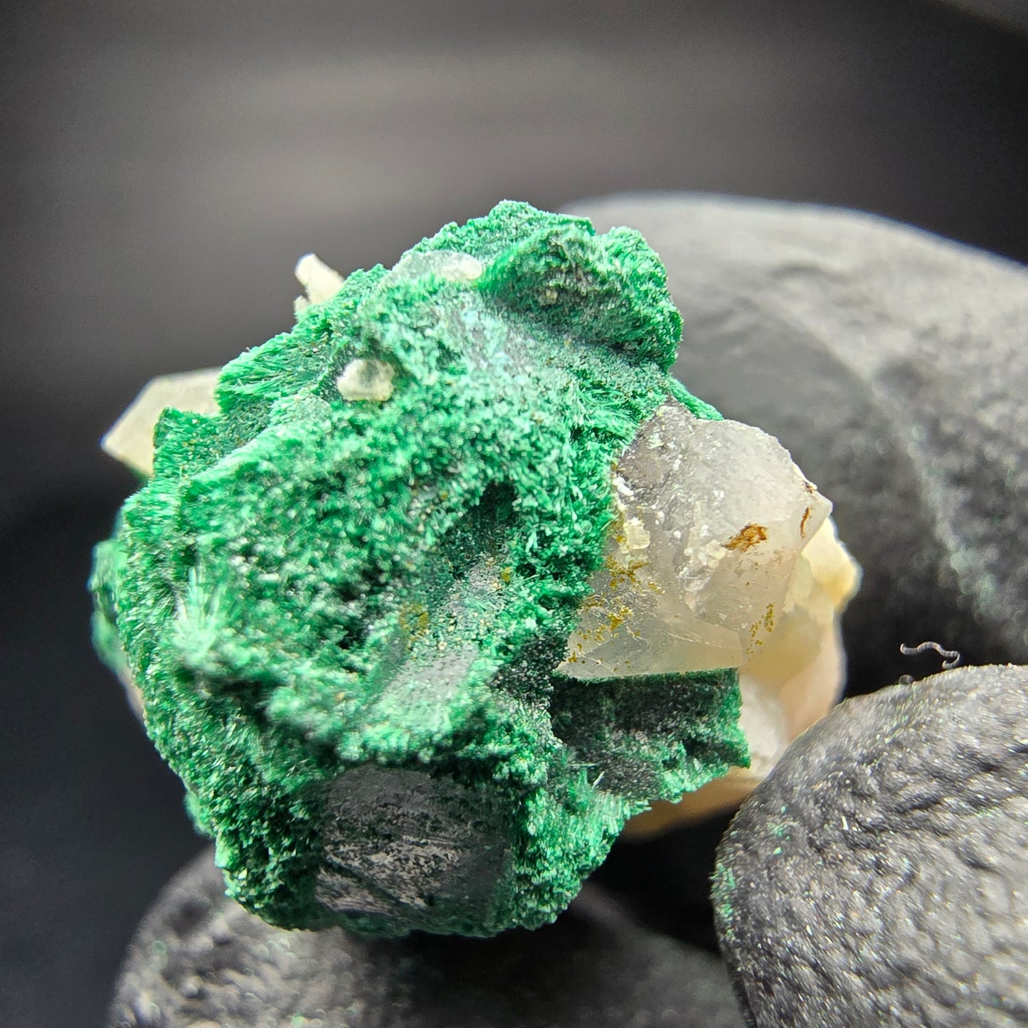 Seltene Malachit Stufe, grün Kaokoveld, Namibia 26*23*15mm Mineraliensammlung