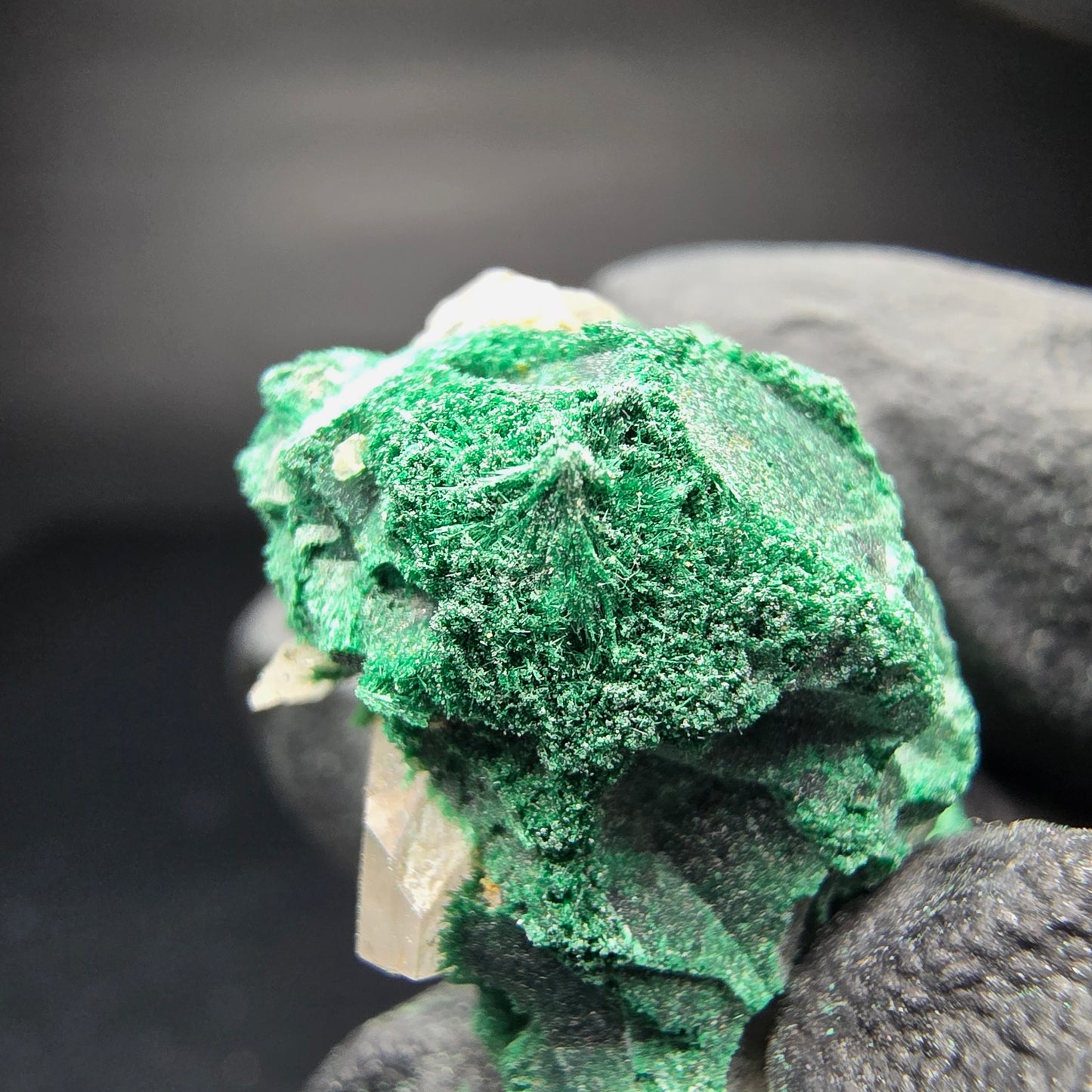 Seltene Malachit Stufe, grün Kaokoveld, Namibia 26*23*15mm Mineraliensammlung