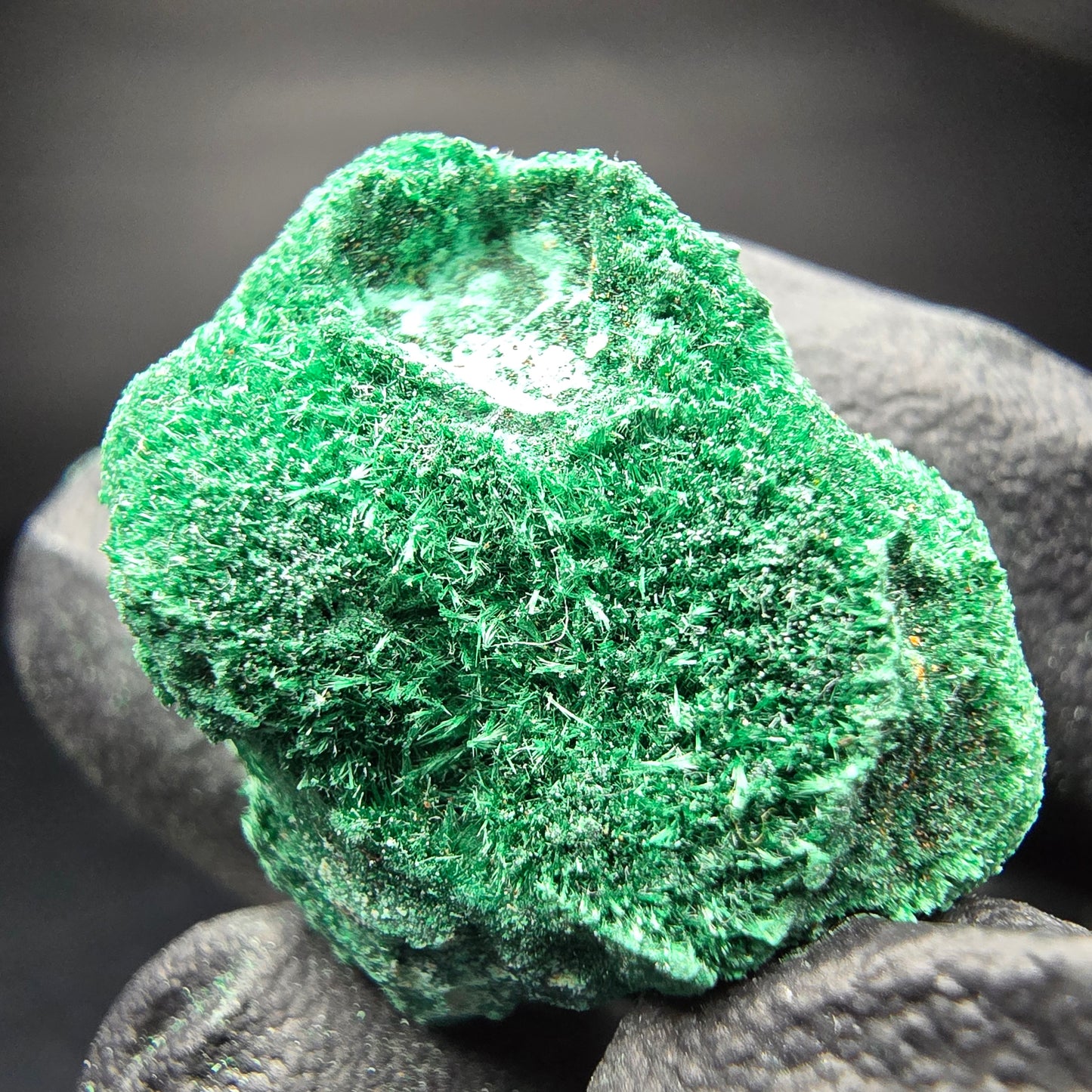 Spécimen rare de malachite, Kaokoveld vert, collection minérale namibie 24*22*16mm