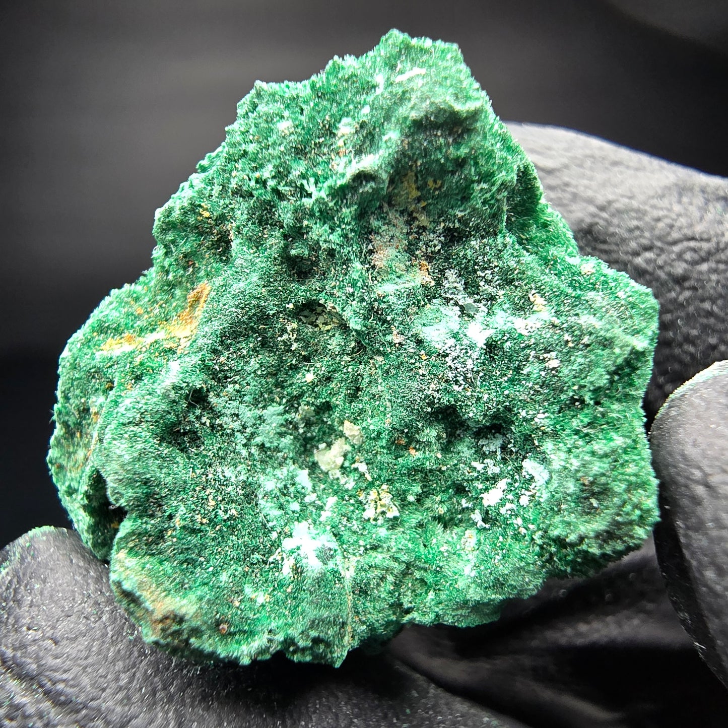 Spécimen rare de malachite, Kaokoveld vert, collection minérale namibie 24*22*16mm