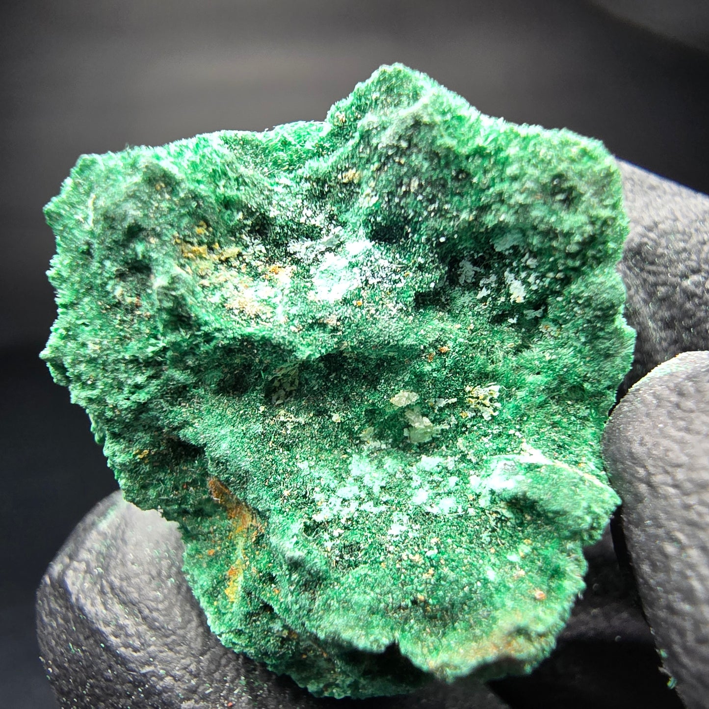 Spécimen rare de malachite, Kaokoveld vert, collection minérale namibie 24*22*16mm
