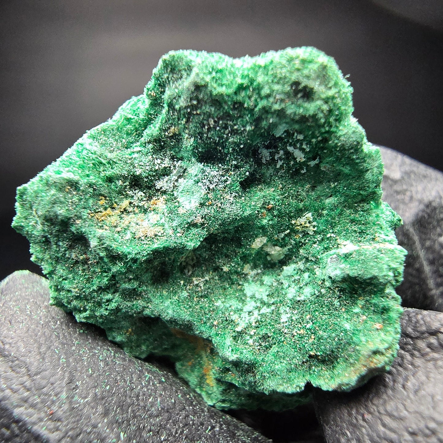 Spécimen rare de malachite, Kaokoveld vert, collection minérale namibie 24*22*16mm