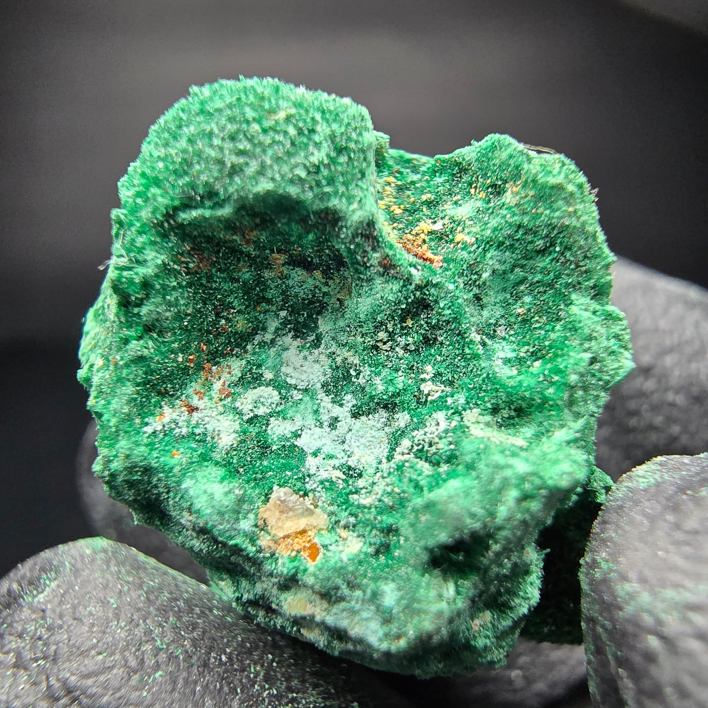 Spécimen rare de malachite, Kaokoveld vert, collection minérale namibie 24*22*16mm