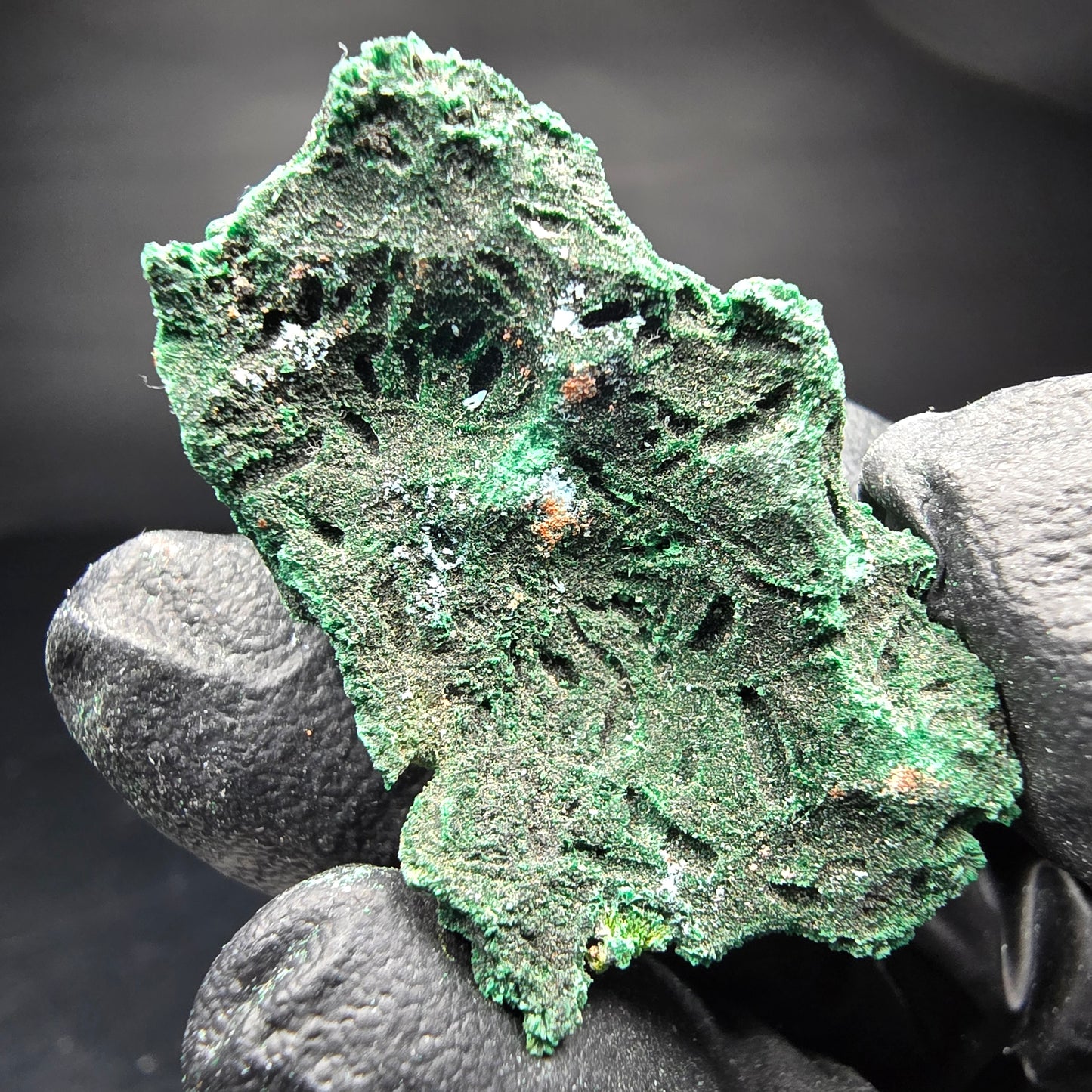 Seltene Malachit Stufe, grün Kaokoveld, Namibia 38*23*16mm Mineraliensammlung