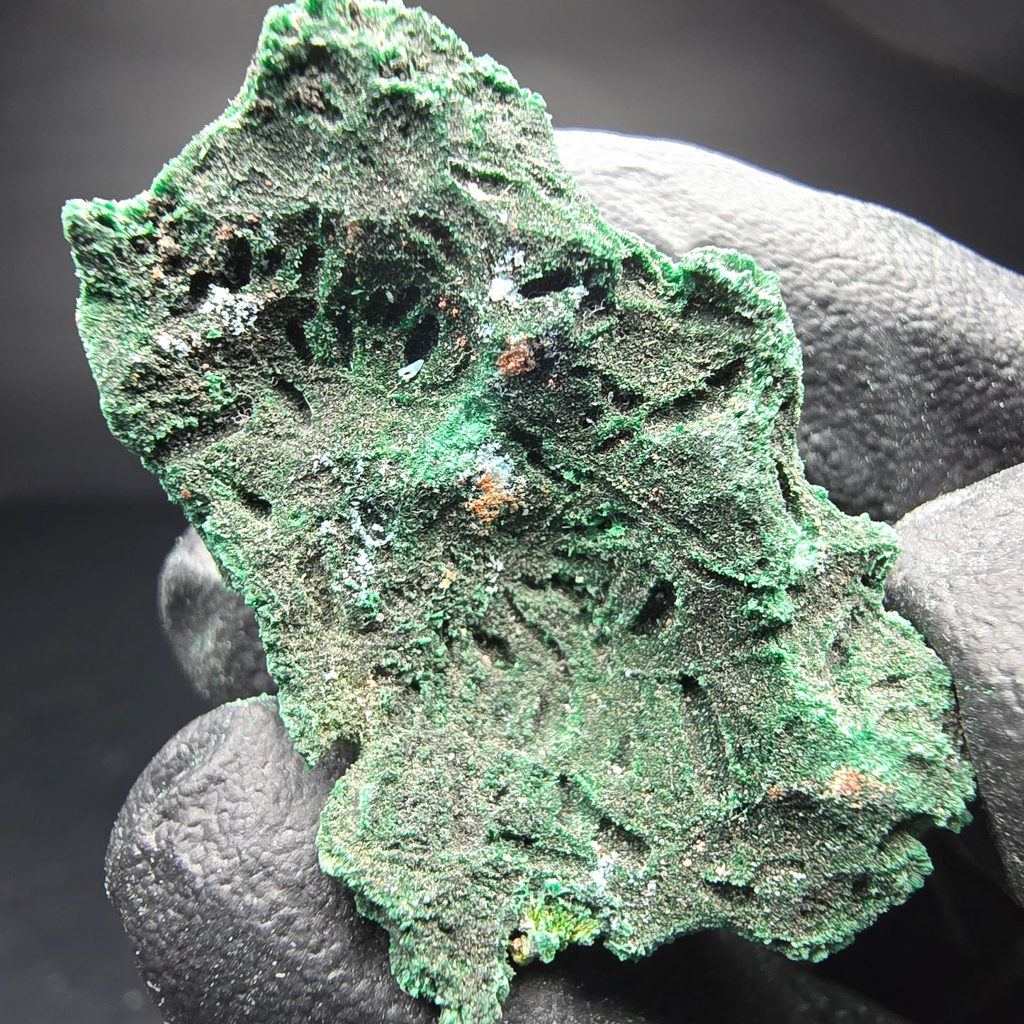 Seltene Malachit Stufe, grün Kaokoveld, Namibia 38*23*16mm Mineraliensammlung