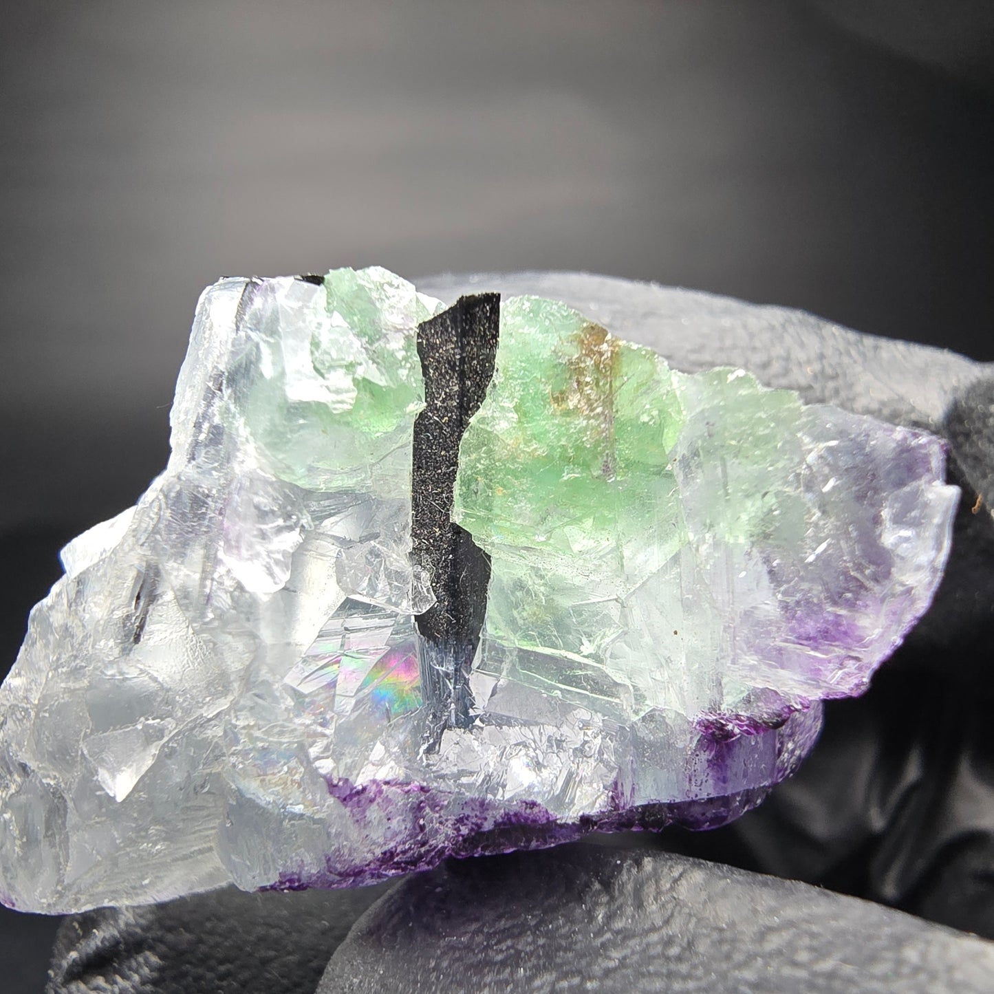 Fluorite zonar claire avec étape de tourmaline Schörl Erongo Namibie 34*21*29mm