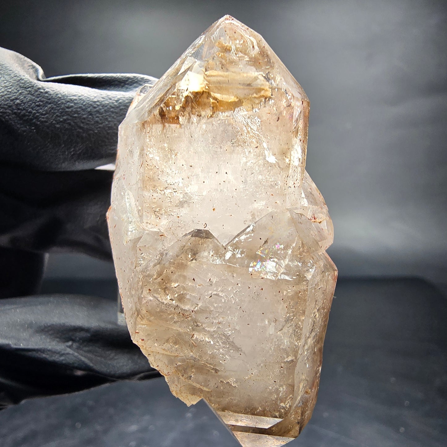 Phantom Skelett Rauchquarz Zepter Doppelender Goboboseb Namibia 56*33*26mm