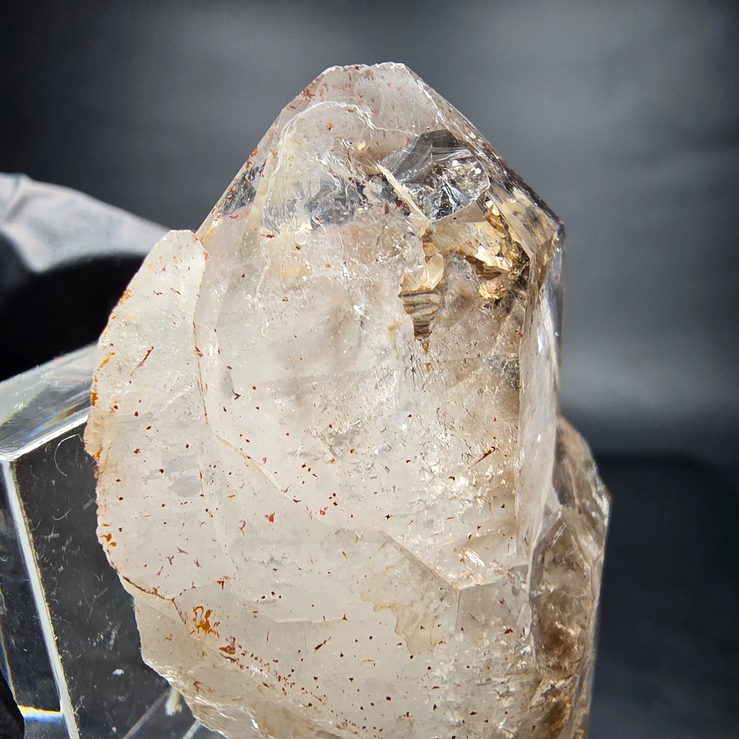Phantom Skelett Rauchquarz Zepter Doppelender Goboboseb Namibia 56*33*26mm