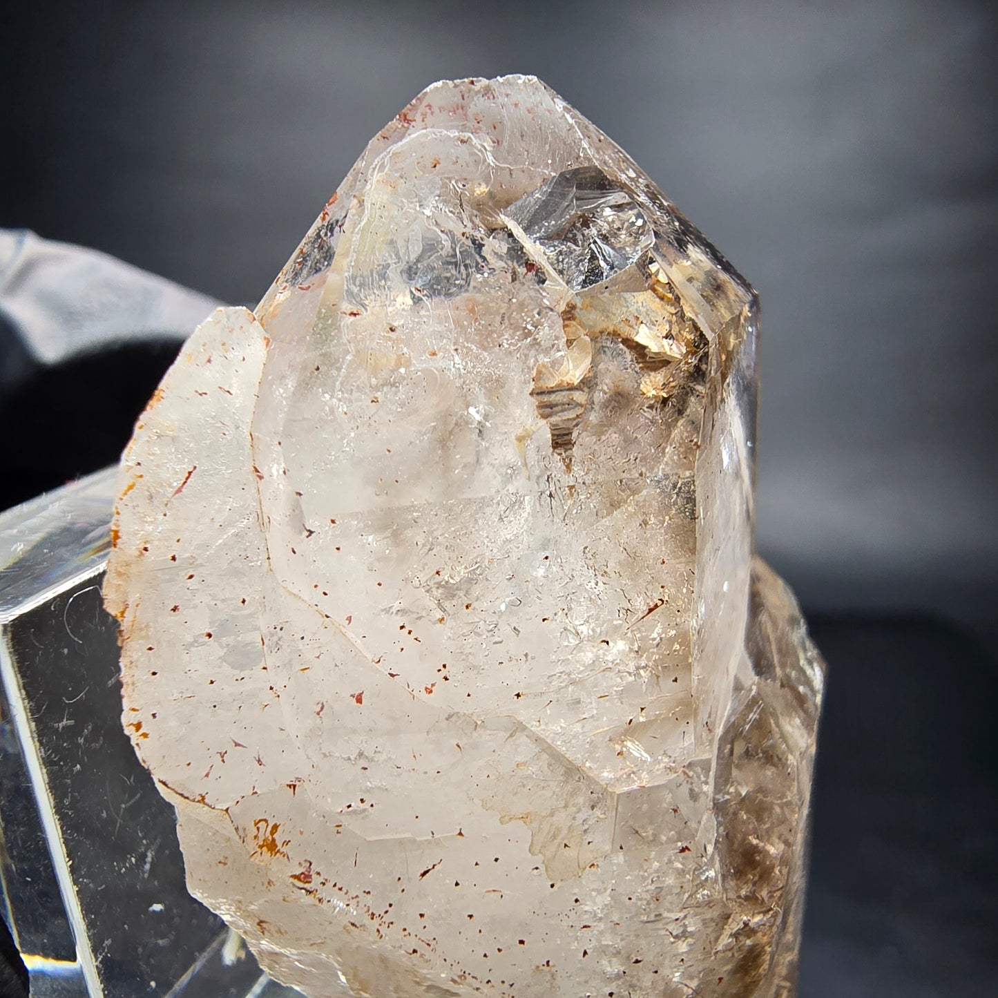 Phantom Skelett Rauchquarz Zepter Doppelender Goboboseb Namibia 56*33*26mm