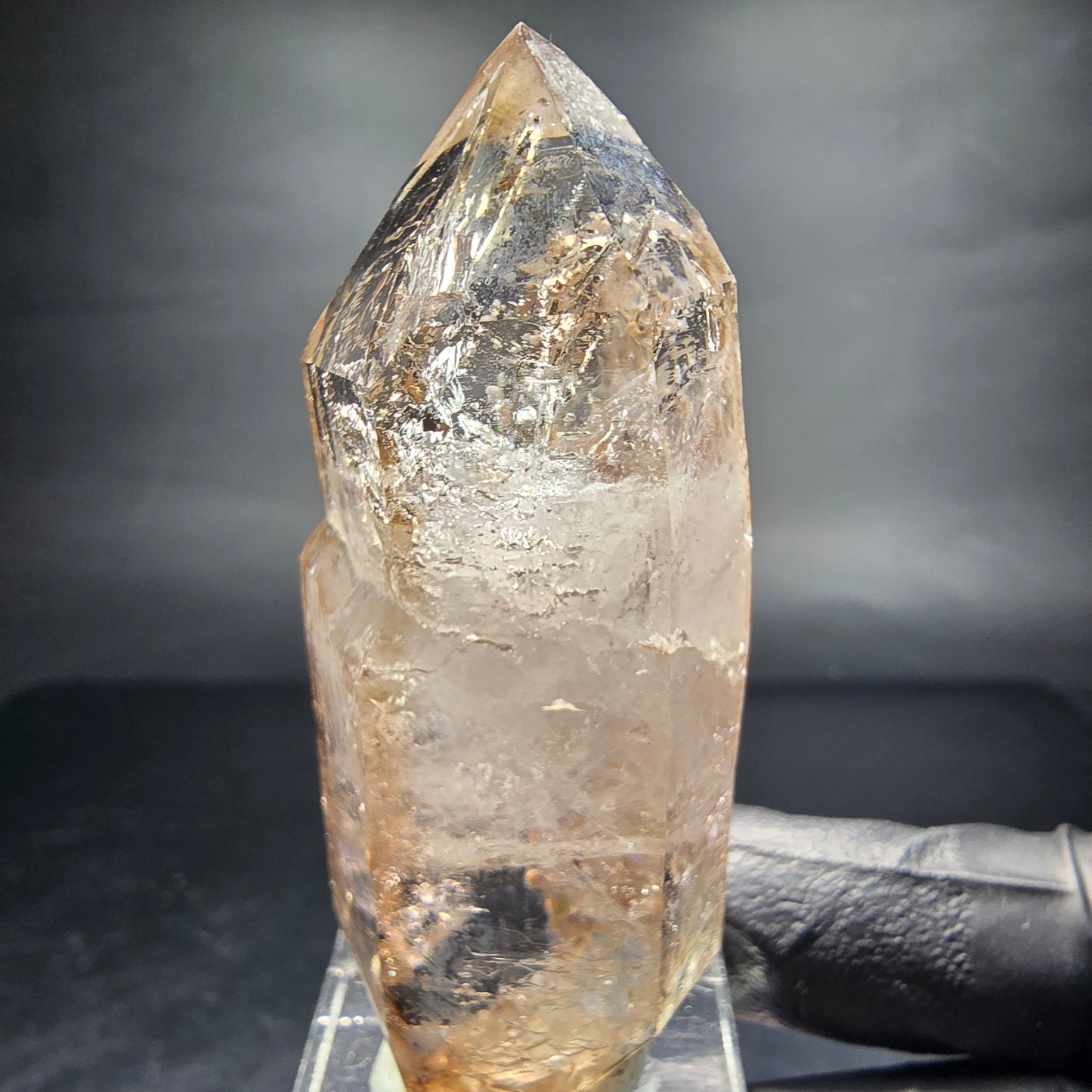 Points à double terminaison en quartz fumé fantôme clair Goboboseb namibie 62*25*19mm