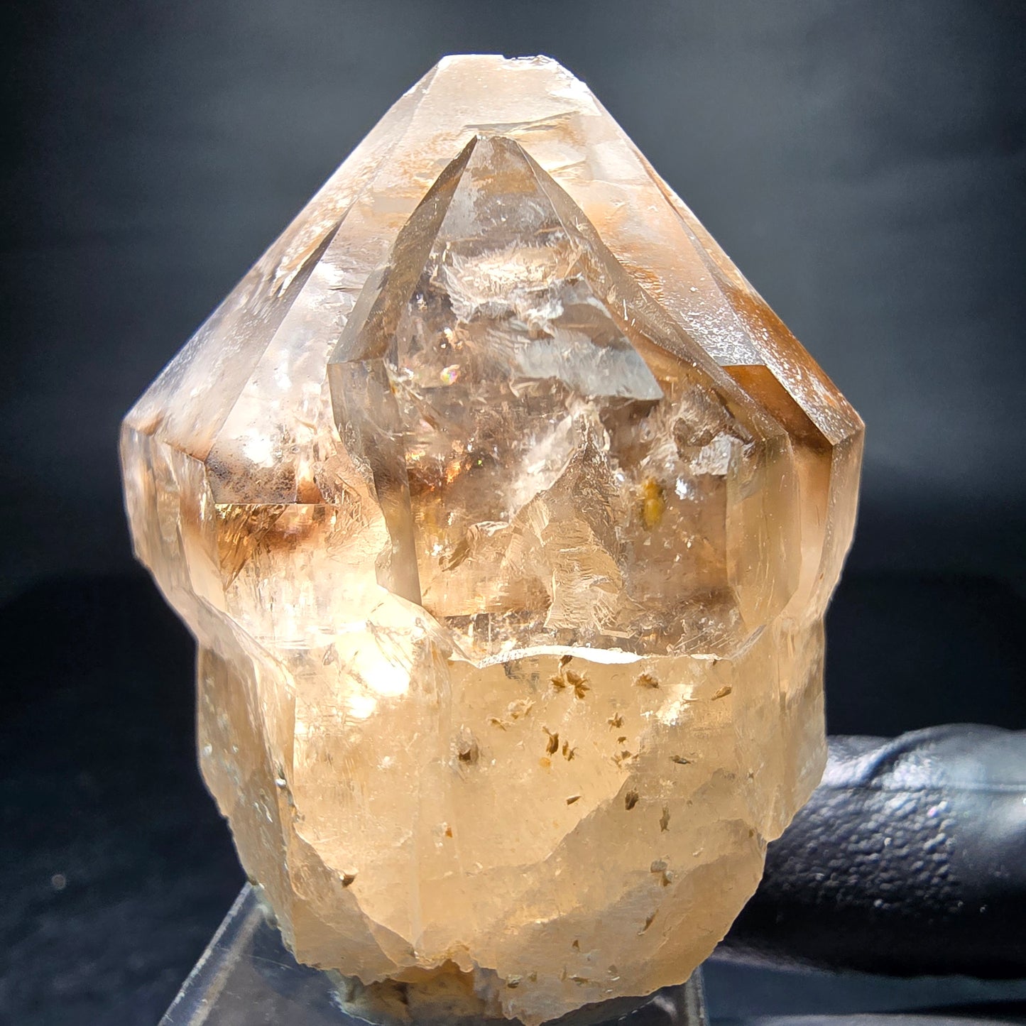 Klare Phantom Rauchquarz Zepter Spitze Erongo, Namibia 51*44*33mm Sammlung