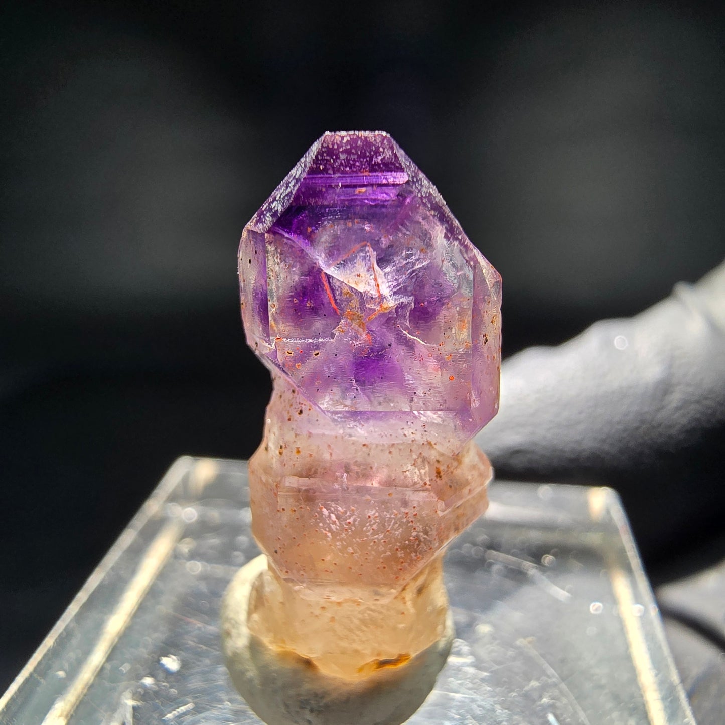 Klare Phantom Amethyst Zepter Spitze lila Brandberg, Namibia 29*9*7mm Sammlung