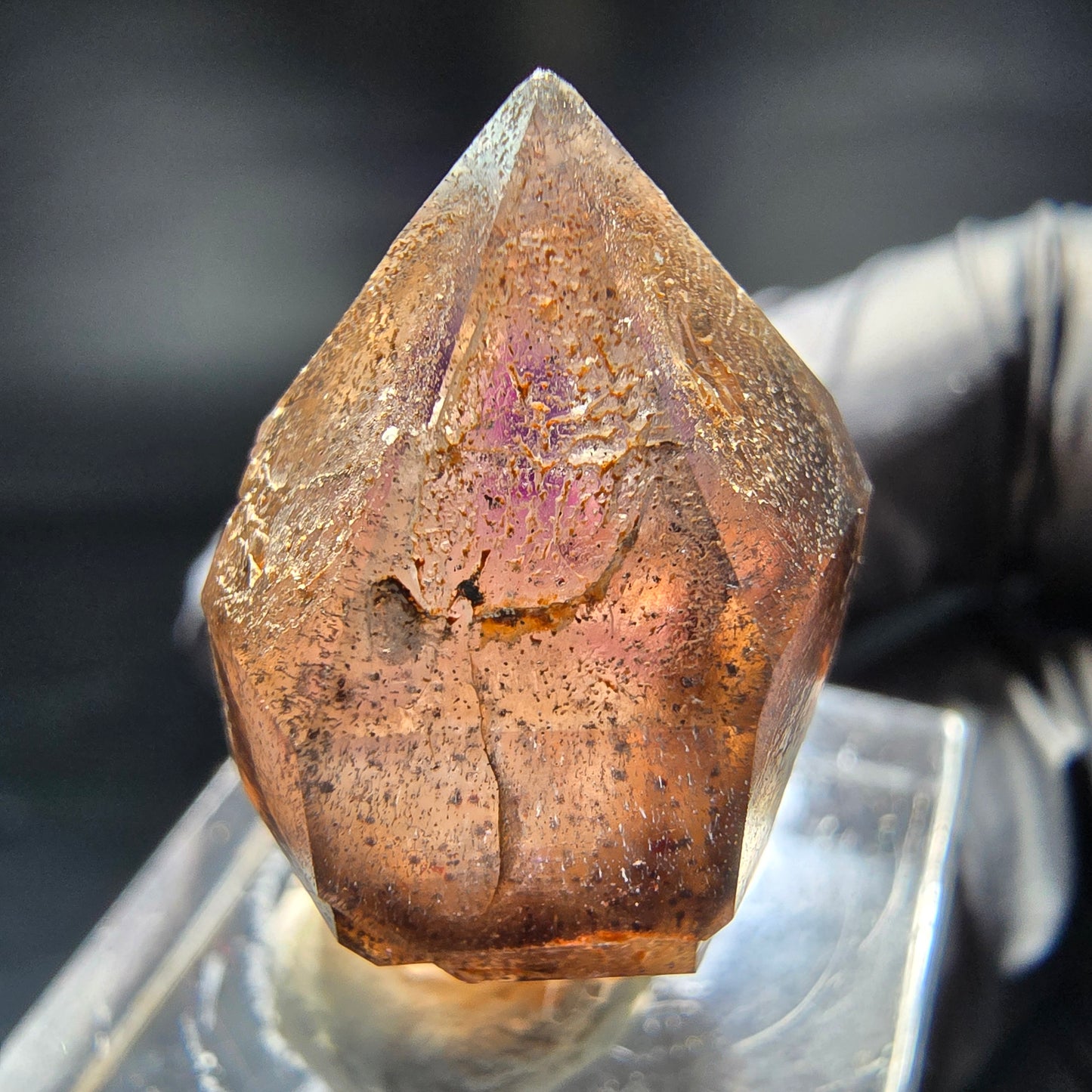 Schöne Amethyst Zepter Spitze lila braun Brandberg, Namibia 29*19*14mm Sammlung