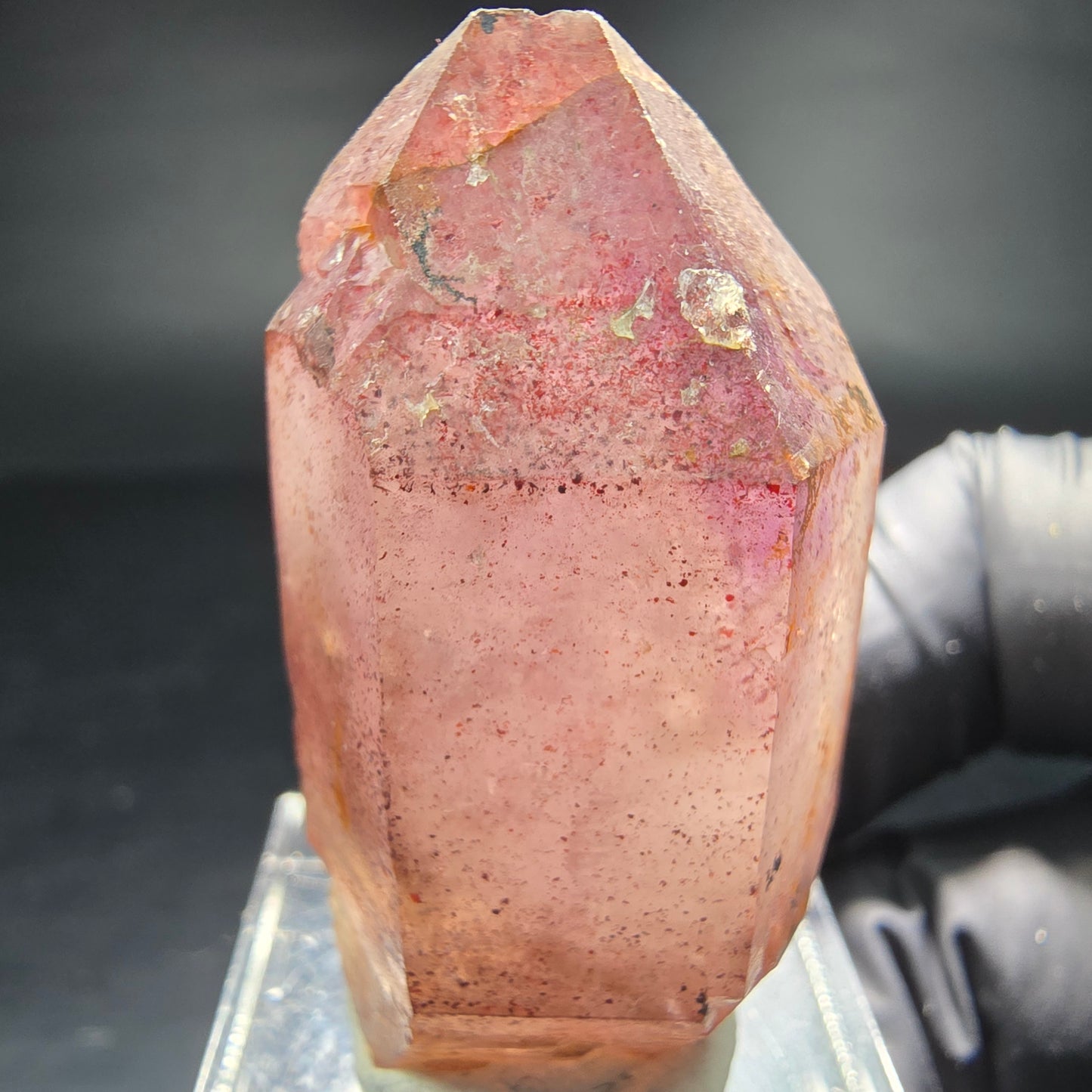 Beautiful Phantom Scepter Amethyst Point purple Brandberg Namibia 40*22*16mm Collection