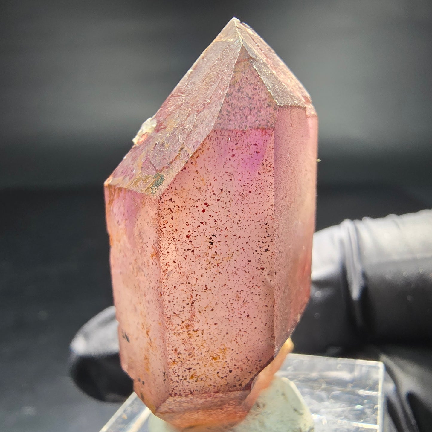 Beautiful Phantom Scepter Amethyst Point purple Brandberg Namibia 40*22*16mm Collection