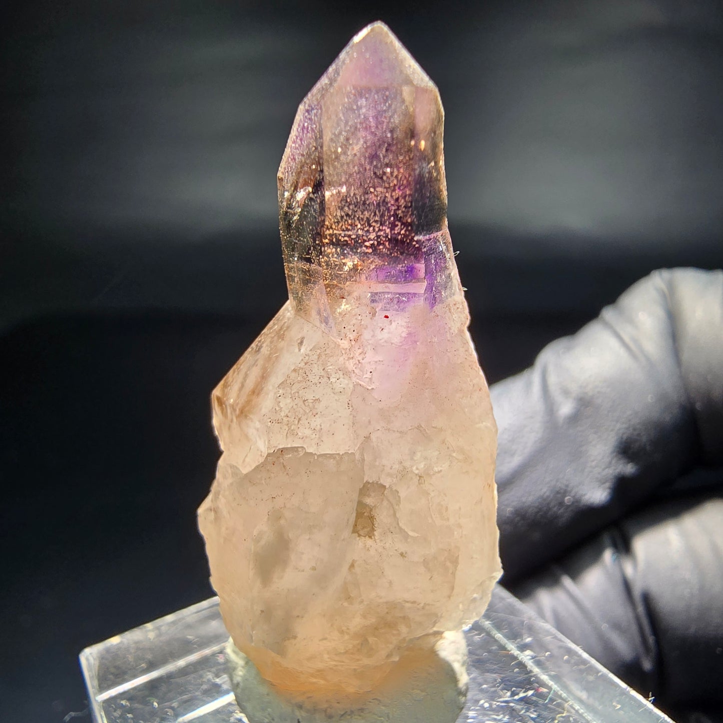 Seltene Phantom Zepter Amethyst Spitze lila braun Goboboseb, Namibia 39*17*15mm
