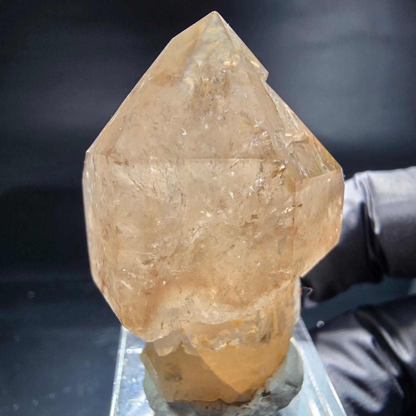 Schöne Phantom Rauchquarz Zepter Spitze Erongo, Namibia 44*31*26mm Sammlung