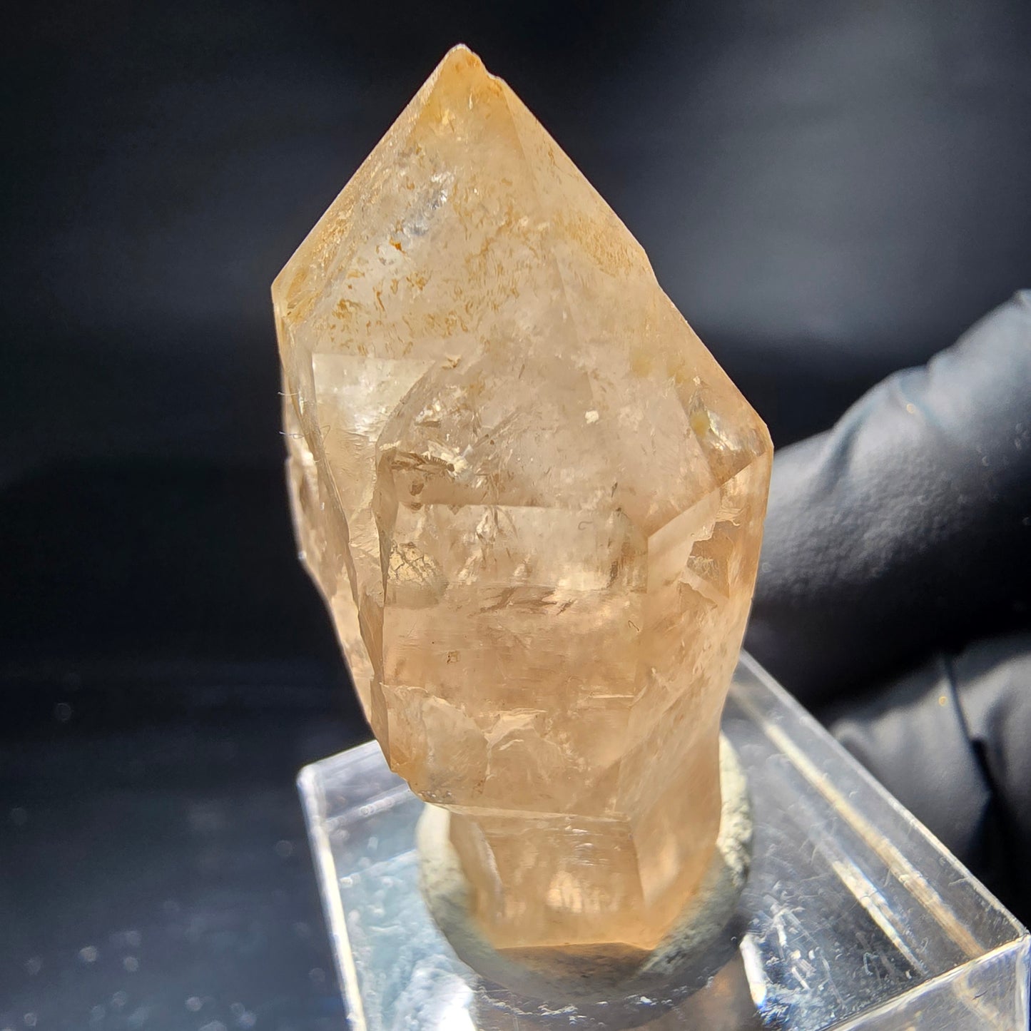Schöne Rauchquarz Zepter Spitze grau Erongo, Namibia 38*27*16mm Sammlung