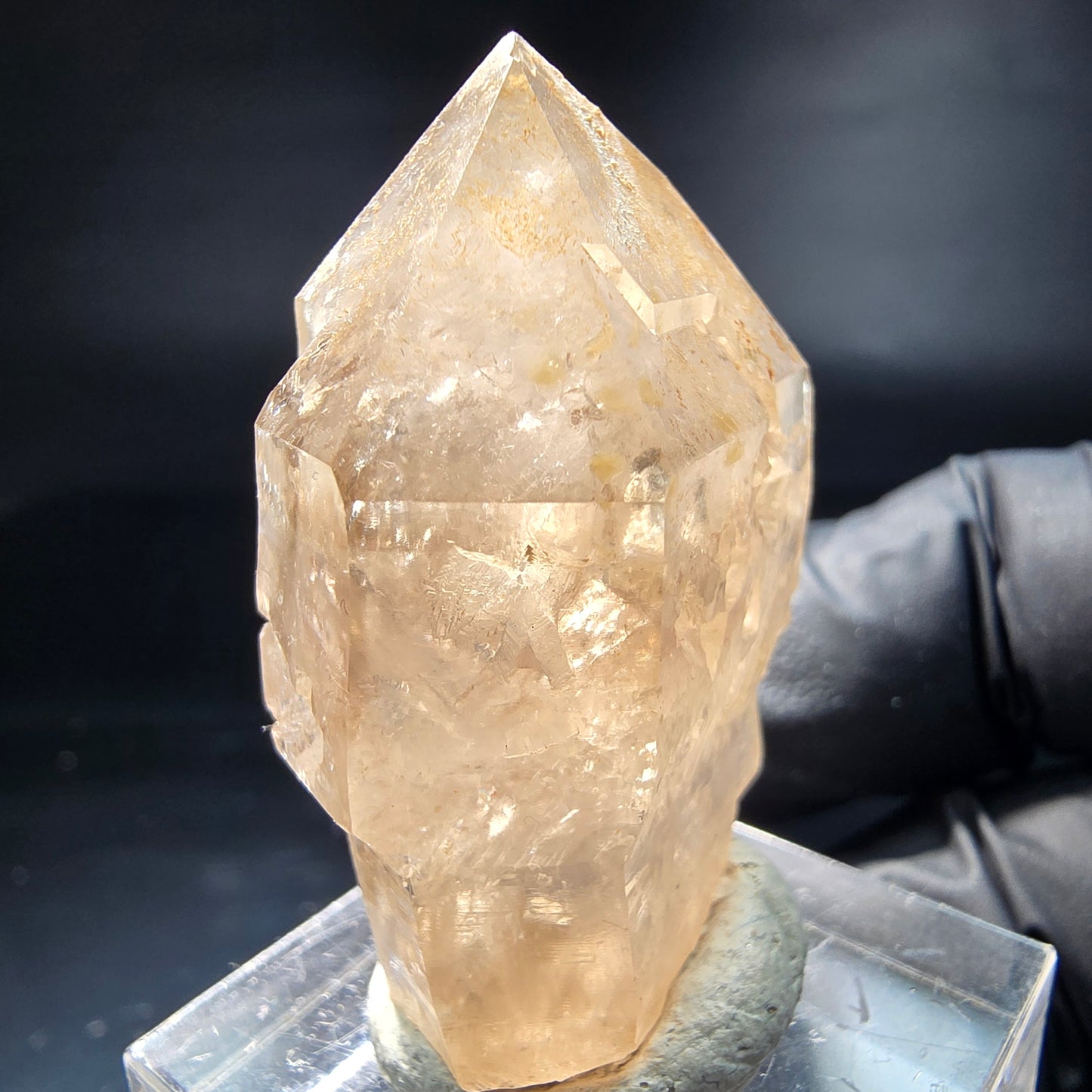 Schöne Rauchquarz Zepter Spitze grau Erongo, Namibia 38*27*16mm Sammlung