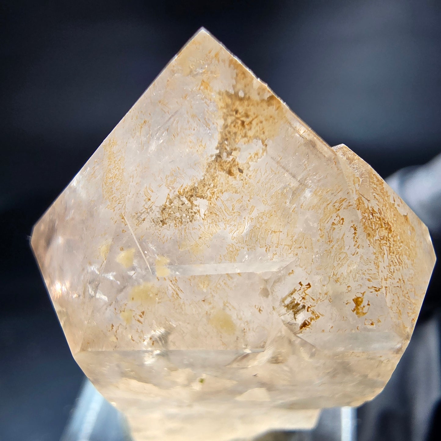 Schöne Rauchquarz Zepter Spitze grau Erongo, Namibia 38*27*16mm Sammlung