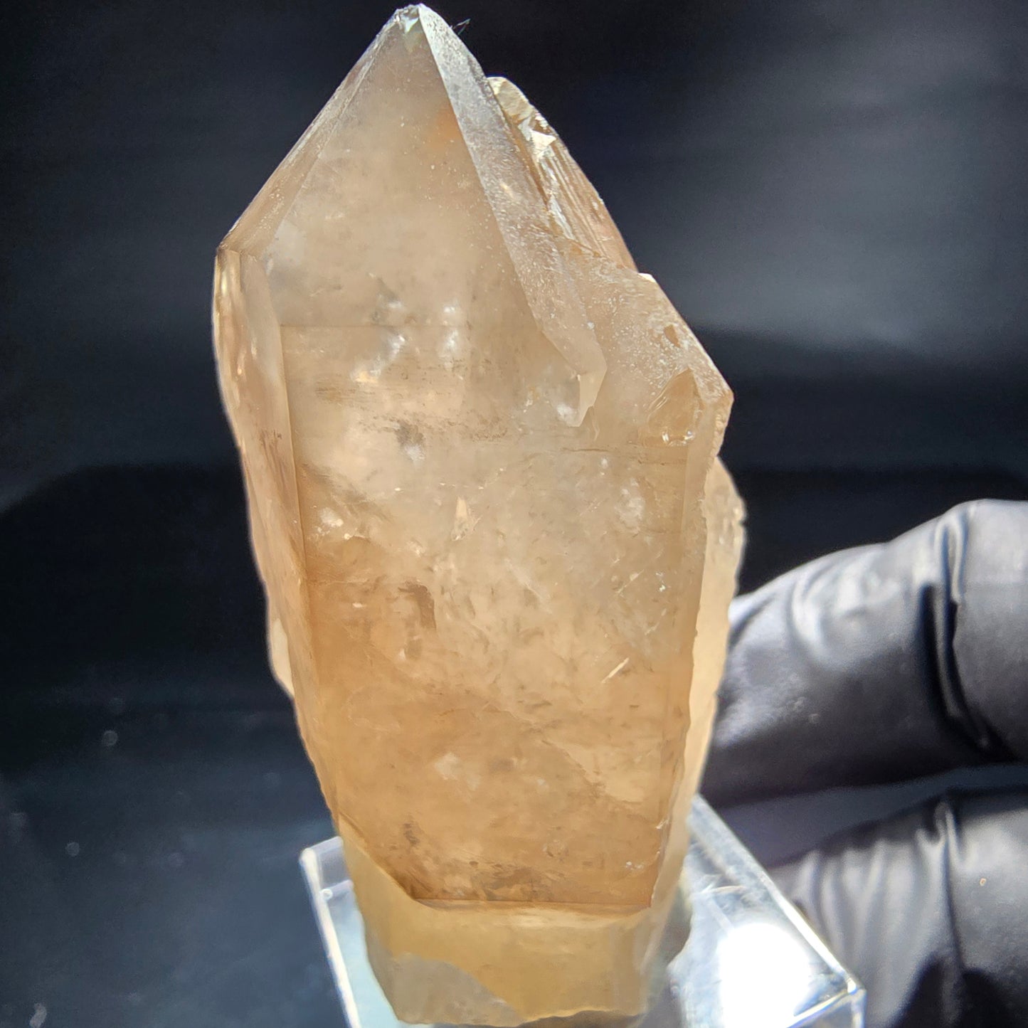 Schöne Phantom Rauchquarz Zepter Spitzen Erongo, Namibia 56*33*28mm Sammlung
