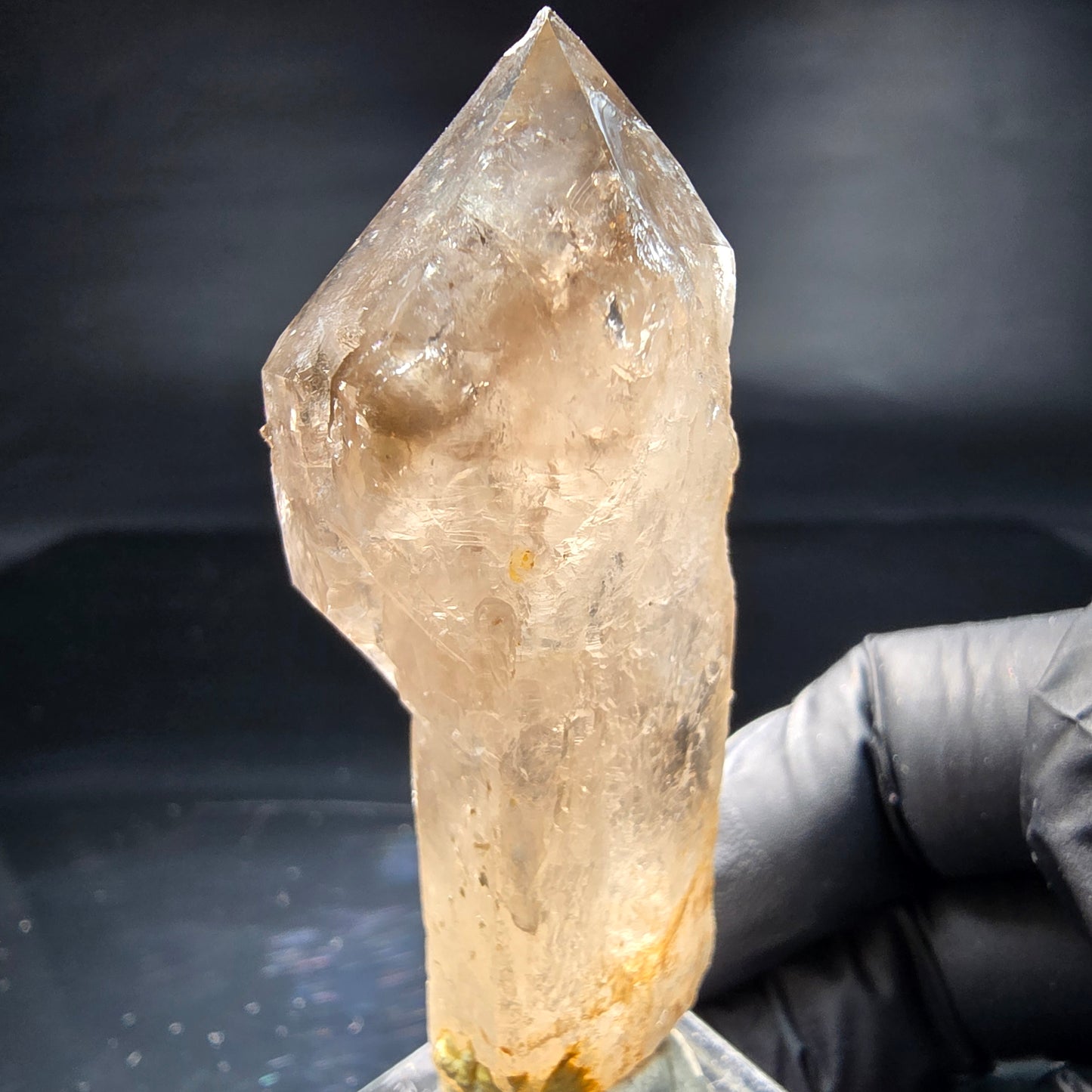 Schöne Phantom Rauchquarz Zepter Spitze Erongo, Namibia 69*25*20mm Sammlung