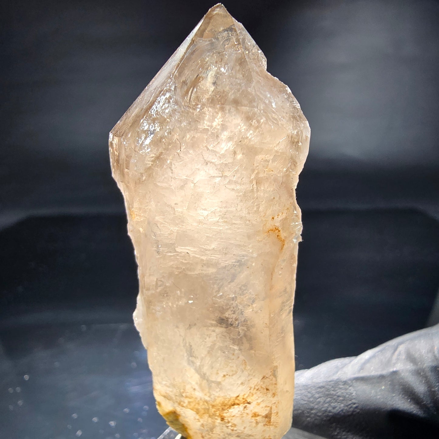 Schöne Phantom Rauchquarz Zepter Spitze Erongo, Namibia 69*25*20mm Sammlung