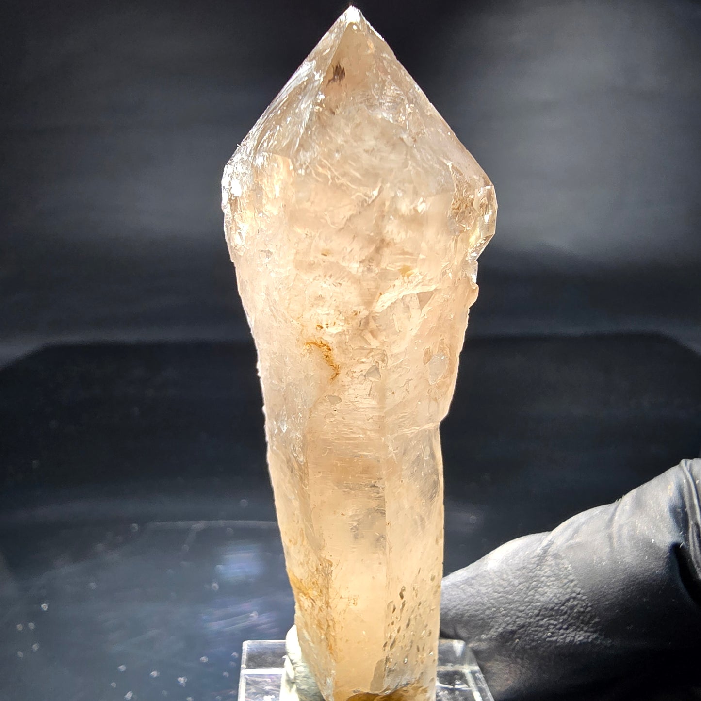 Schöne Phantom Rauchquarz Zepter Spitze Erongo, Namibia 69*25*20mm Sammlung