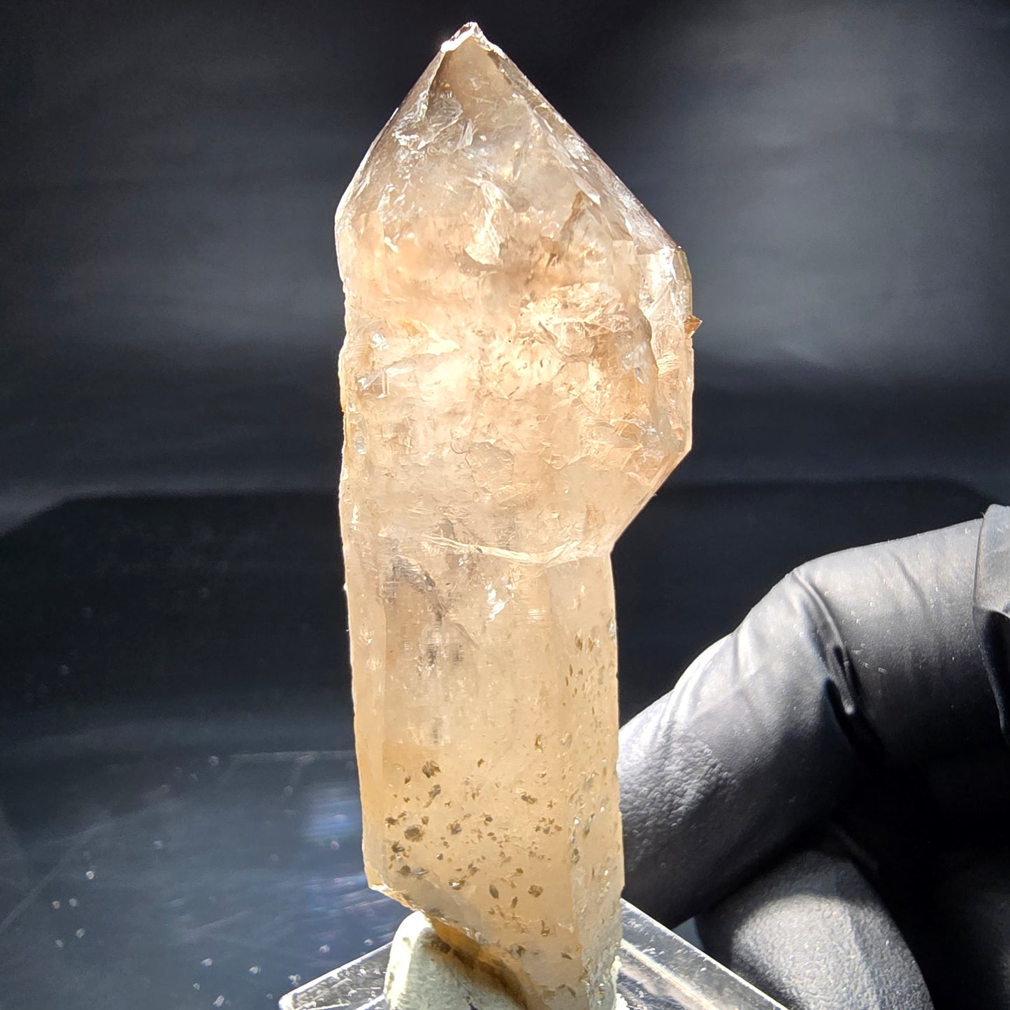 Schöne Phantom Rauchquarz Zepter Spitze Erongo, Namibia 69*25*20mm Sammlung