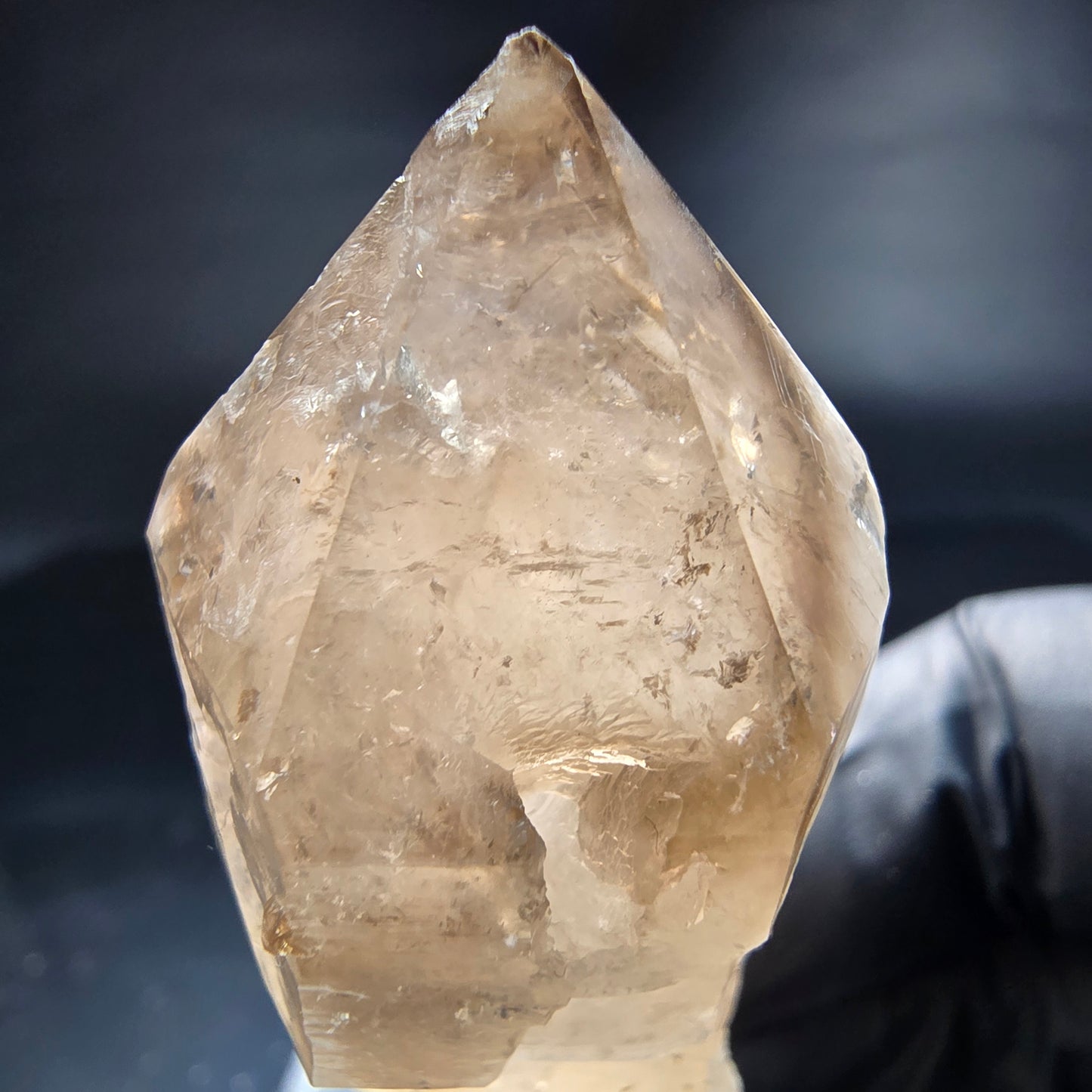 Schöne Phantom Rauchquarz Zepter Spitze Erongo, Namibia 69*25*20mm Sammlung